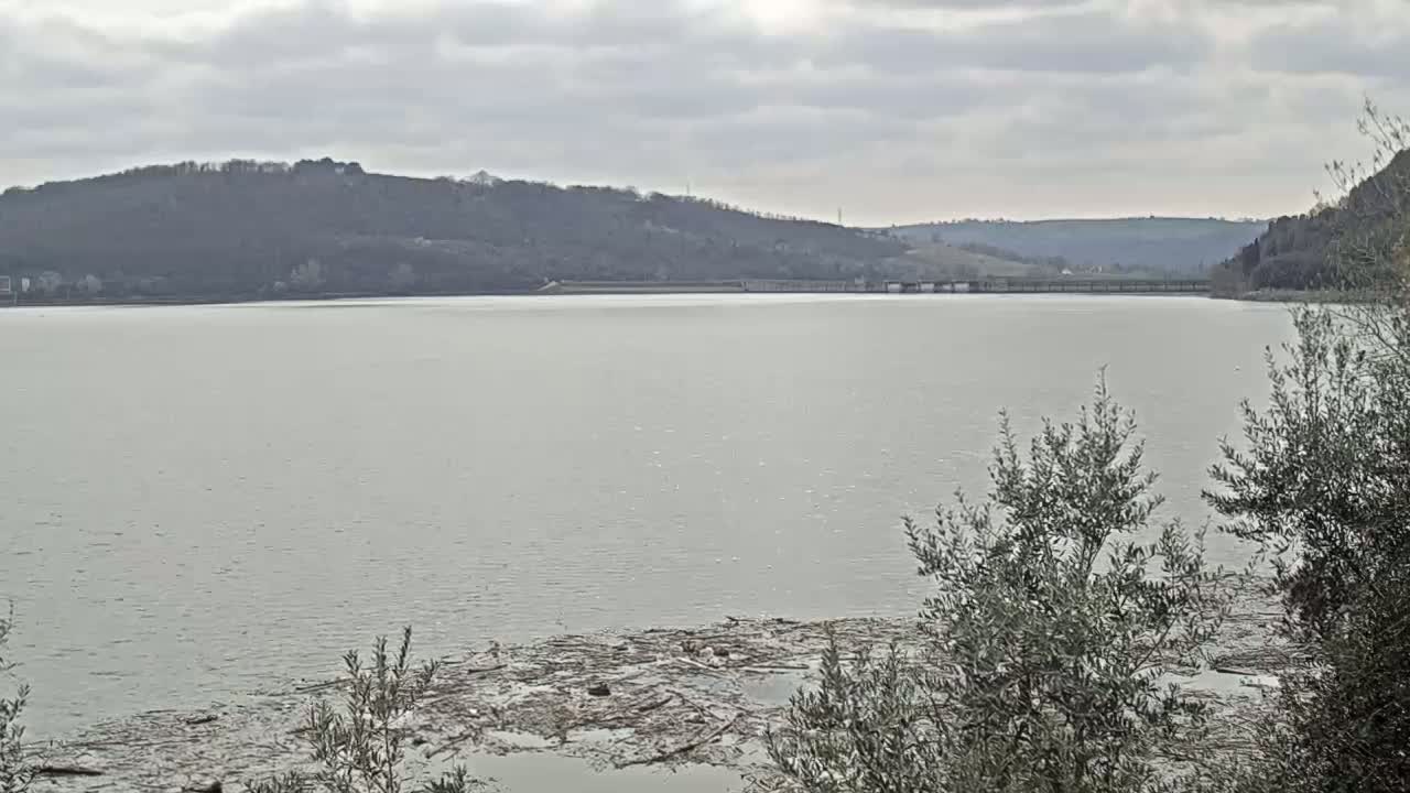 A large body of calm, gray water stretches to a distant dam and wooded hills under an overcast sky, with debris and shrubs visible in the foreground.