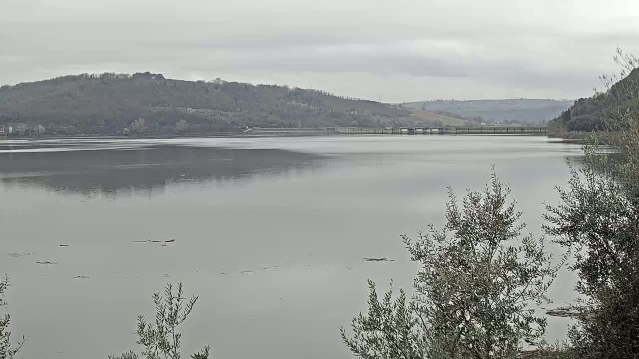 A calm, gray lake stretches out before a line of low, tree-covered hills under an overcast sky.