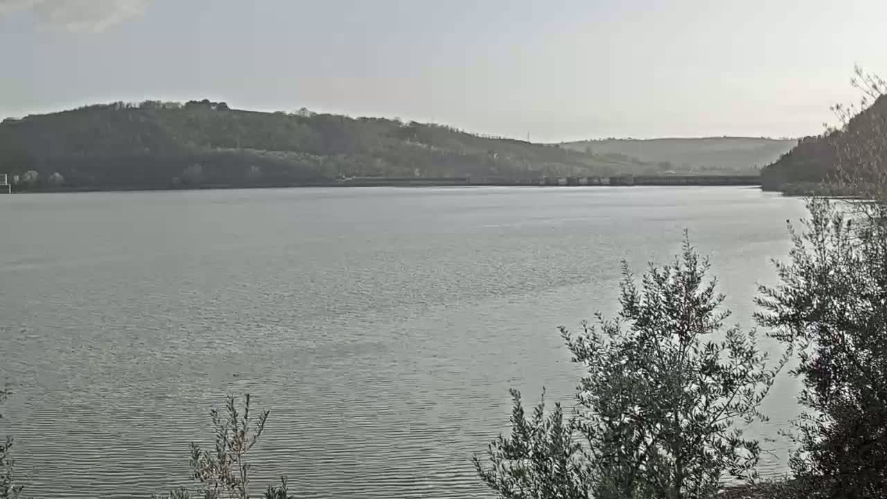 A calm lake stretches out under a pale sky, with hills covered in dark green trees visible in the distance.
