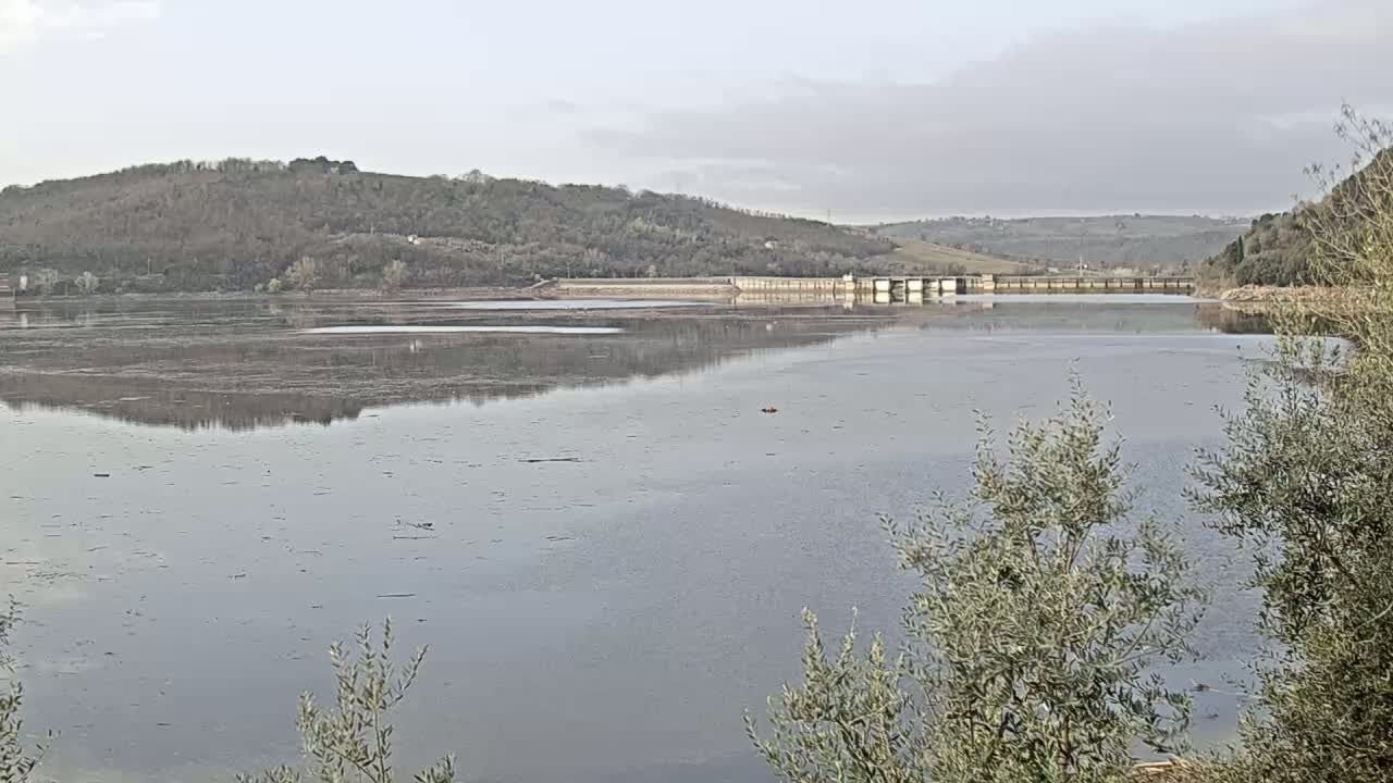A calm body of water reflects a dam and tree-covered hills under a cloudy sky.