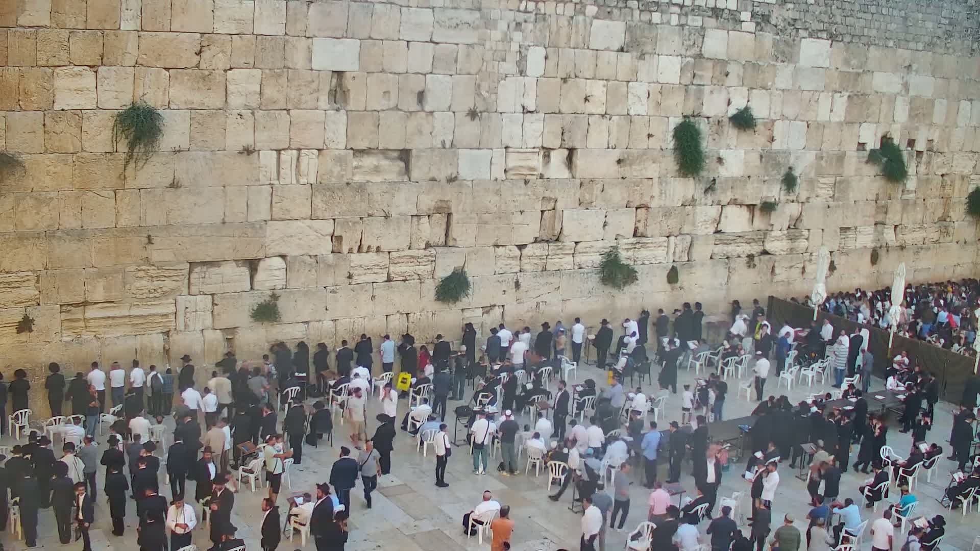 East Quds (East Jerusalem)  Western Wall Main Square East Towards View  Live Cam - Old City, East Quds (East Jerusalem) , Palestine