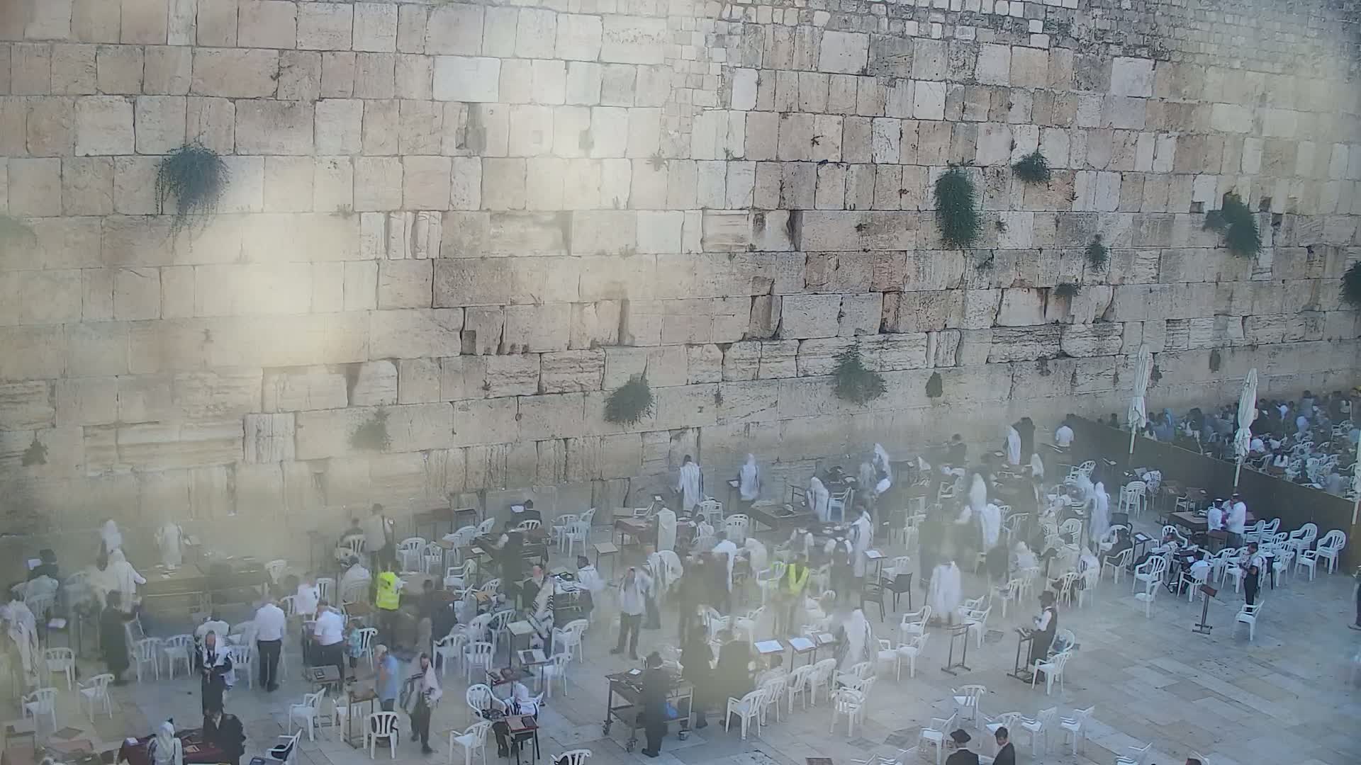 East Quds (East Jerusalem)  Western Wall Main Square East Towards View  Live Cam - Old City, East Quds (East Jerusalem) , Palestine