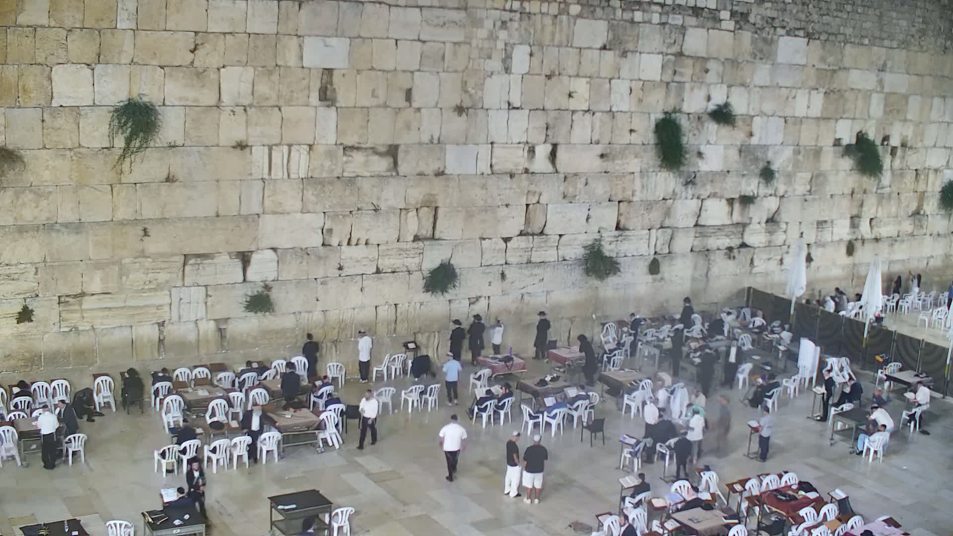 East Quds (East Jerusalem)  Western Wall Main Square East Towards View  Live Cam - Old City, East Quds (East Jerusalem) , Palestine