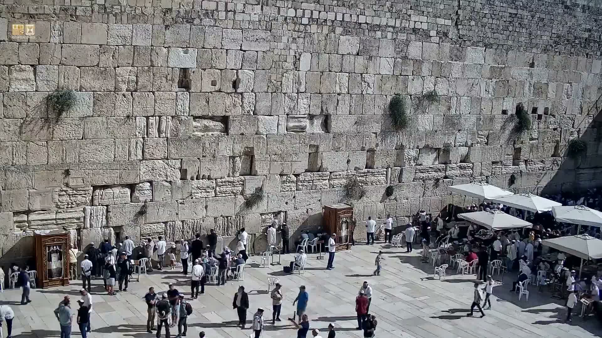 A large crowd gathers on a bright, sunny day at the ancient stone Western Wall, with many people standing near the facade and others seated under white umbrellas in the sunlit plaza.