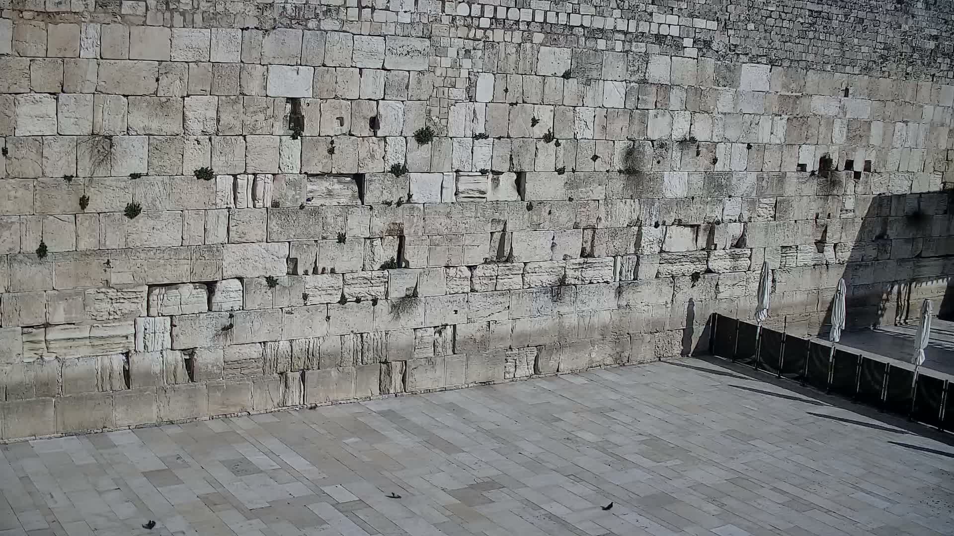 East Quds (East Jerusalem)  Western Wall Main Square East Towards View  Live Cam - Old City, East Quds (East Jerusalem) , Palestine