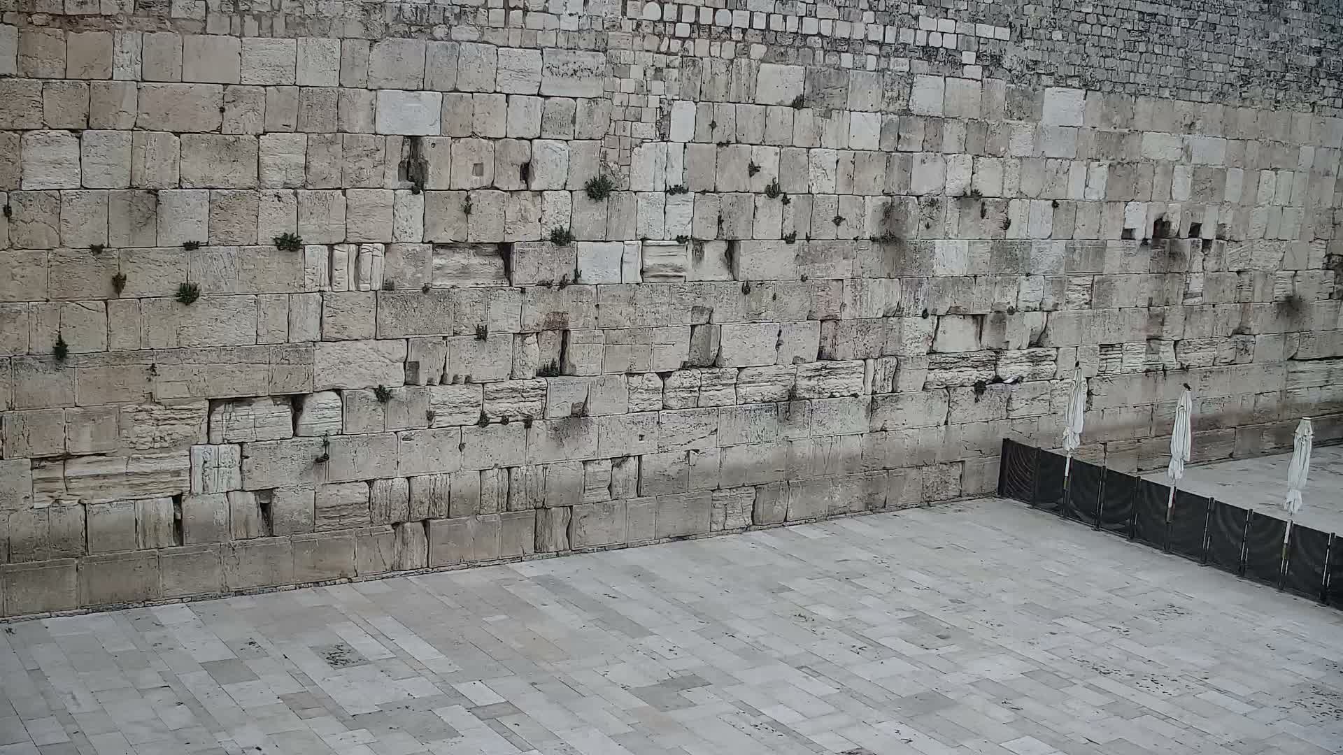East Quds (East Jerusalem)  Western Wall Main Square East Towards View  Live Cam - Old City, East Quds (East Jerusalem) , Palestine