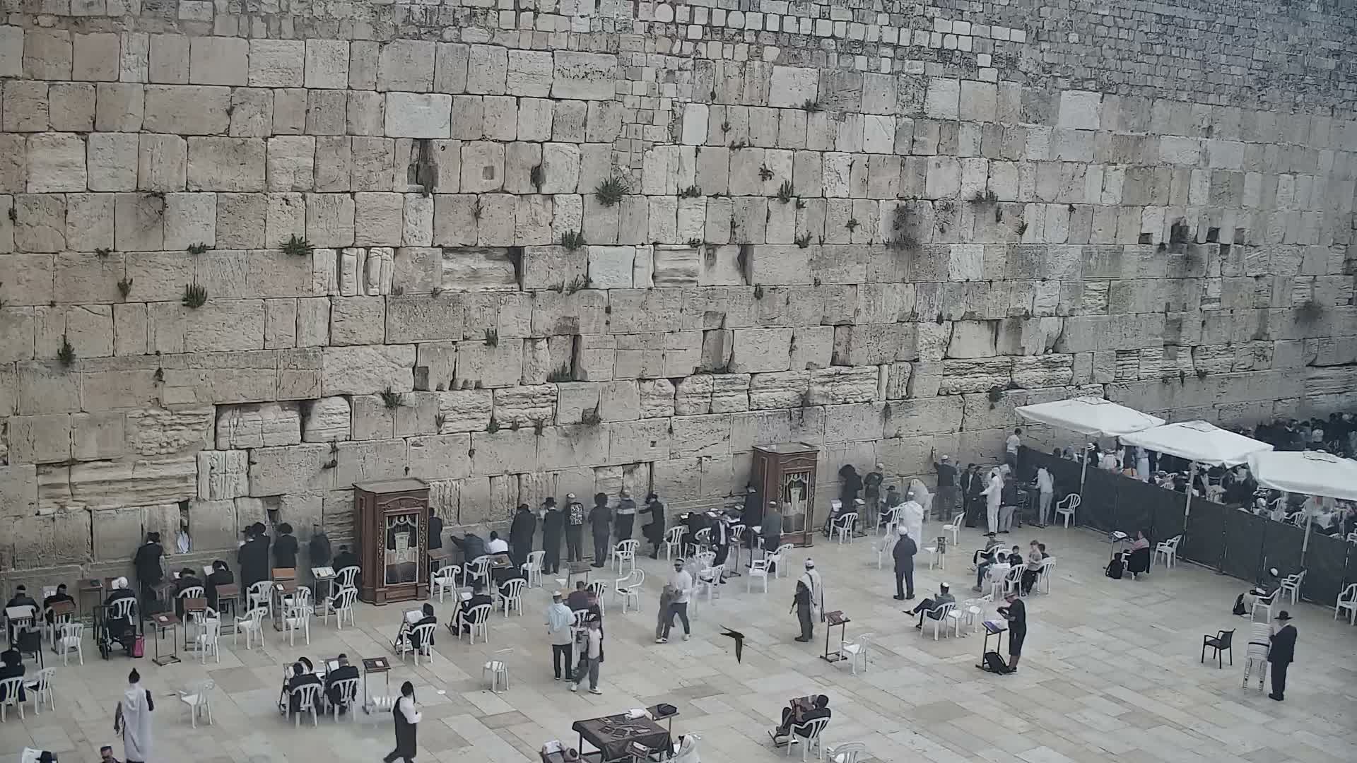 A sunny daytime view shows numerous individuals, mostly men, praying, reading, and sitting on chairs in an outdoor plaza before a large, ancient stone wall, with white umbrellas and partitions visible.