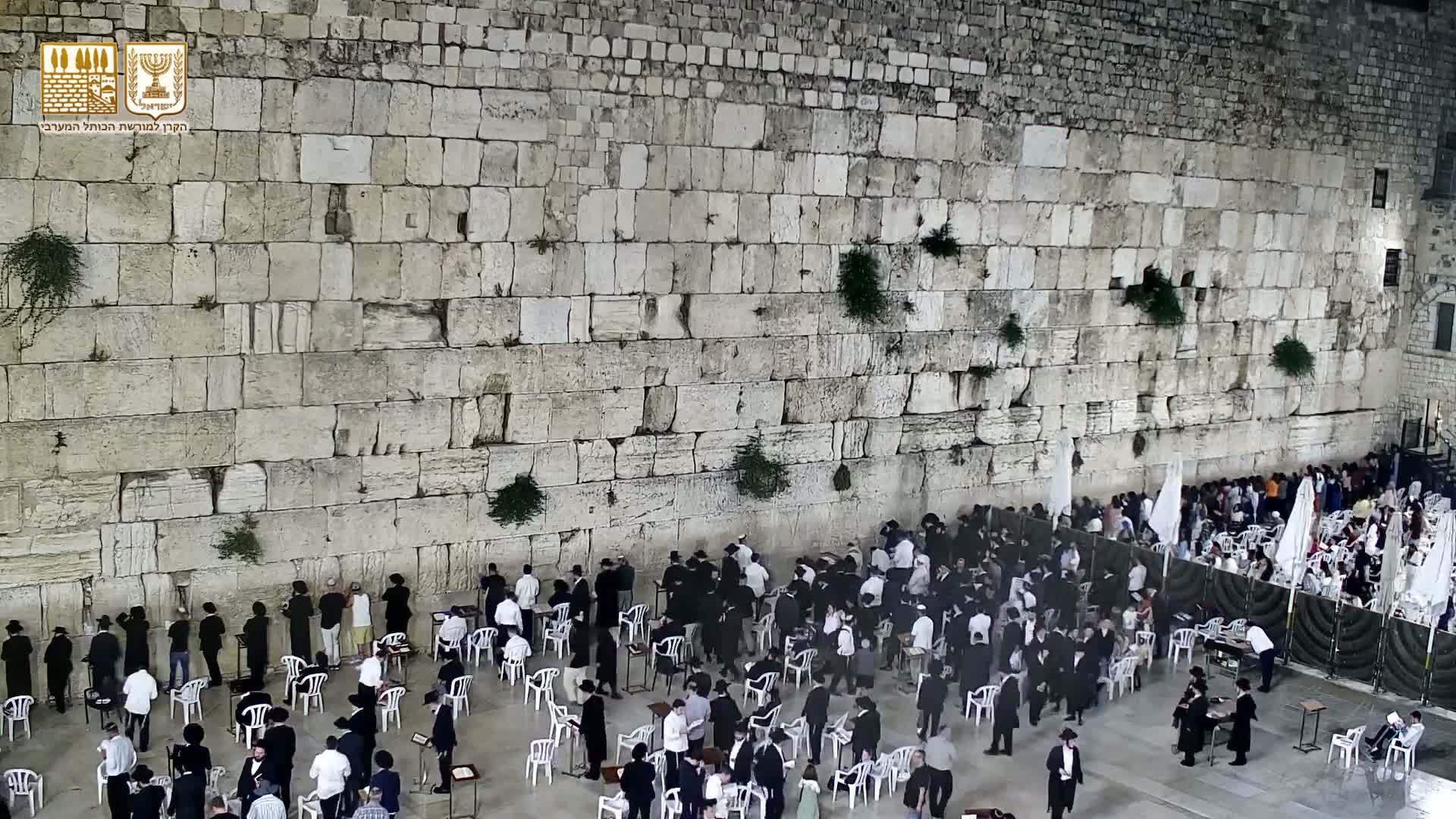 East Quds (East Jerusalem)  Western Wall Prayer Square Southeast Towards View  Live Cam - Old City, East Quds (East Jerusalem) , Palestine