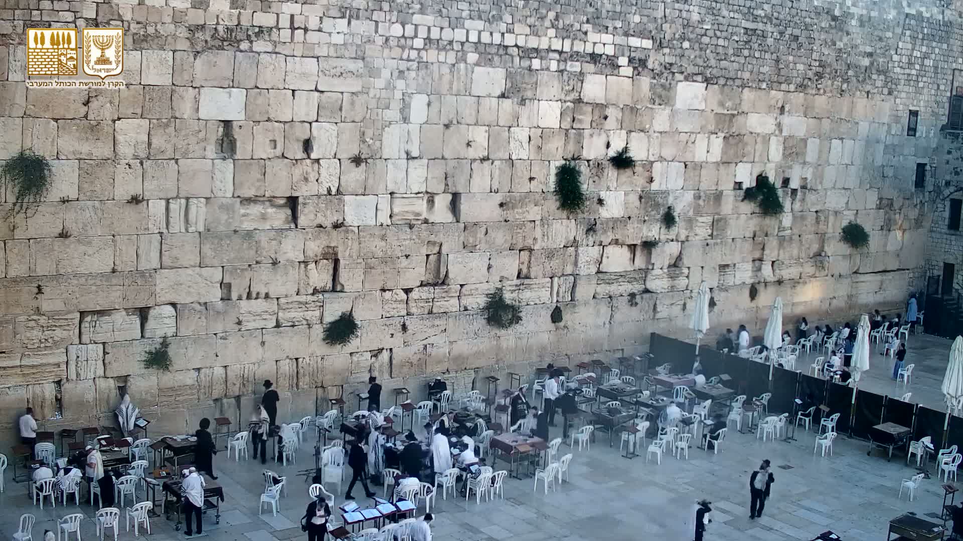 East Quds (East Jerusalem)  Western Wall Prayer Square Southeast Towards View  Live Cam - Old City, East Quds (East Jerusalem) , Palestine