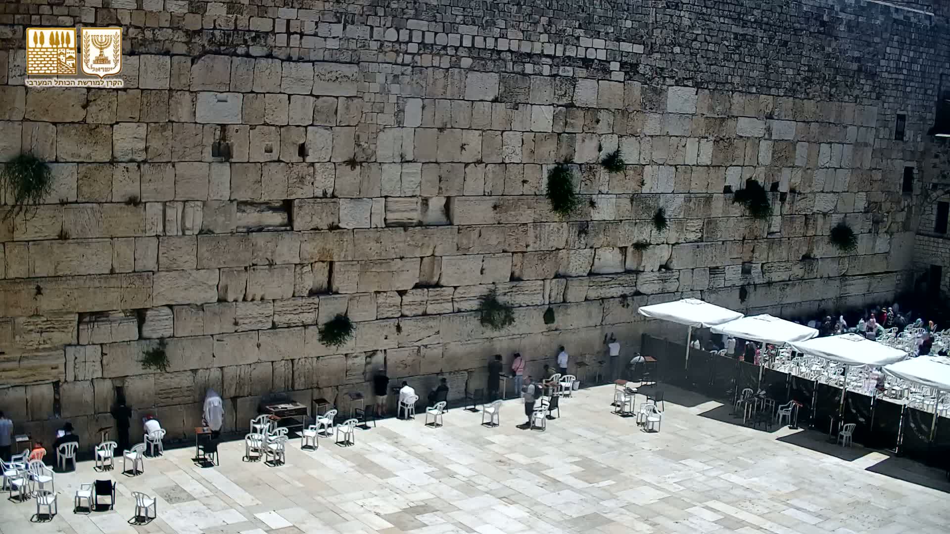 East Quds (East Jerusalem)  Western Wall Prayer Square Southeast Towards View  Live Cam - Old City, East Quds (East Jerusalem) , Palestine
