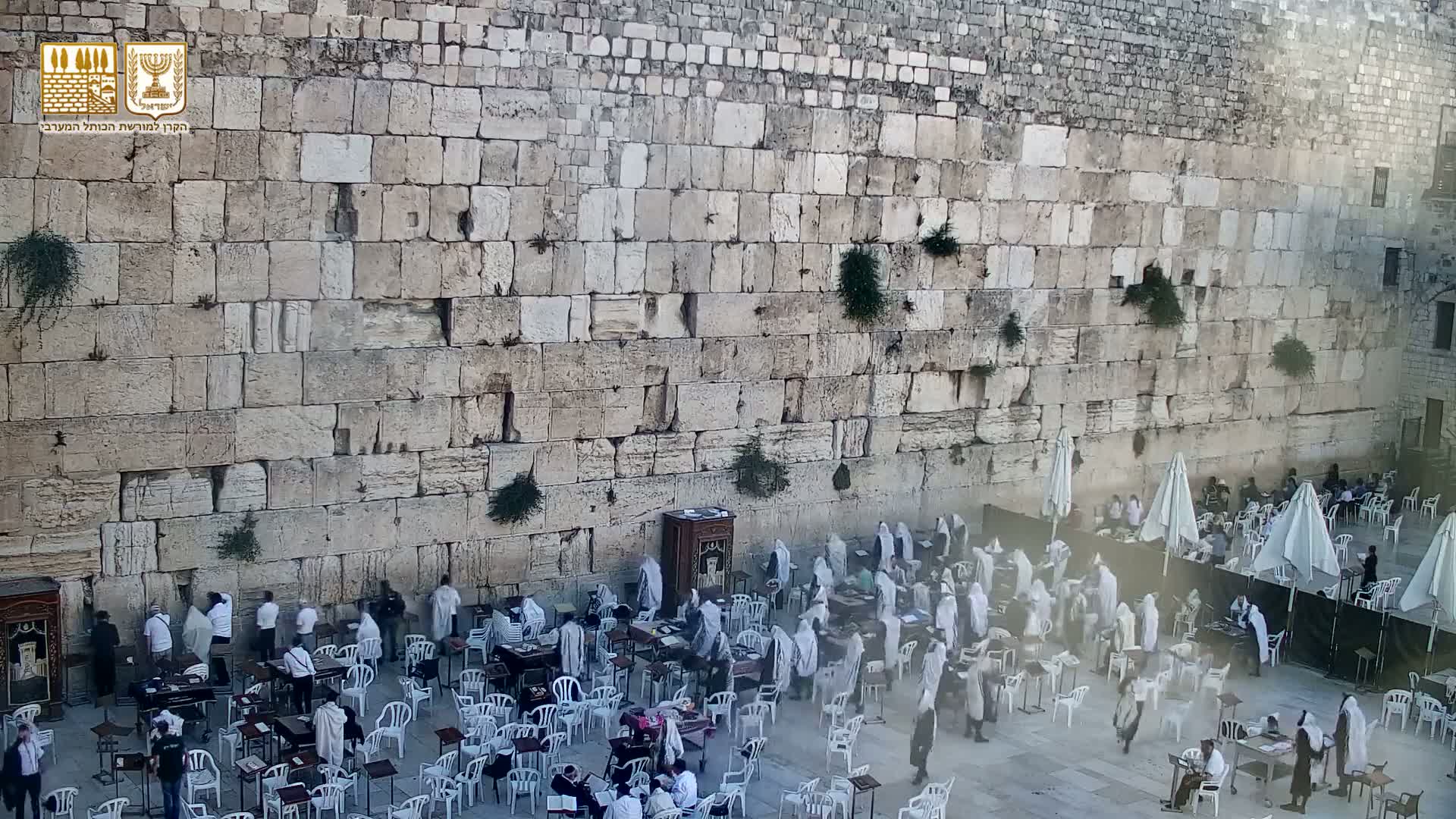 East Quds (East Jerusalem)  Western Wall Prayer Square Southeast Towards View  Live Cam - Old City, East Quds (East Jerusalem) , Palestine