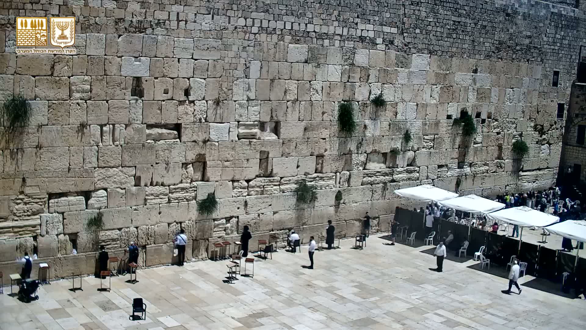 East Quds (East Jerusalem)  Western Wall Prayer Square Southeast Towards View  Live Cam - Old City, East Quds (East Jerusalem) , Palestine