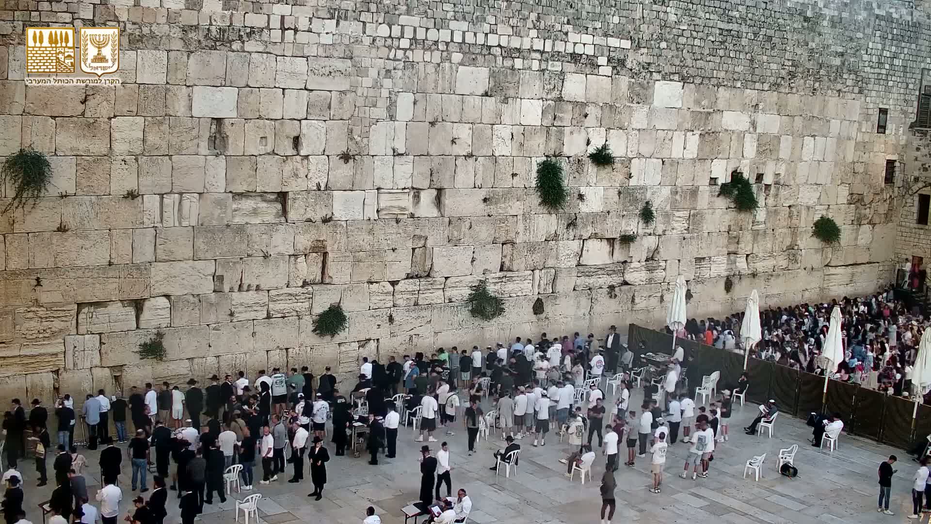 East Quds (East Jerusalem)  Western Wall Prayer Square Southeast Towards View  Live Cam - Old City, East Quds (East Jerusalem) , Palestine