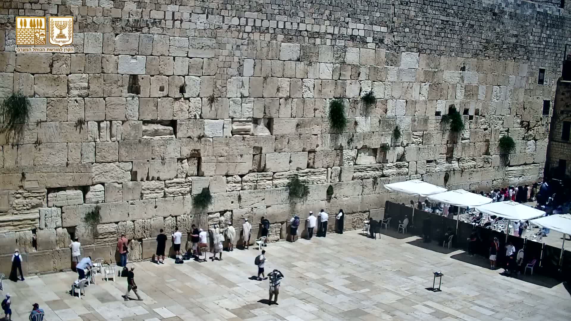East Quds (East Jerusalem)  Western Wall Prayer Square Southeast Towards View  Live Cam - Old City, East Quds (East Jerusalem) , Palestine