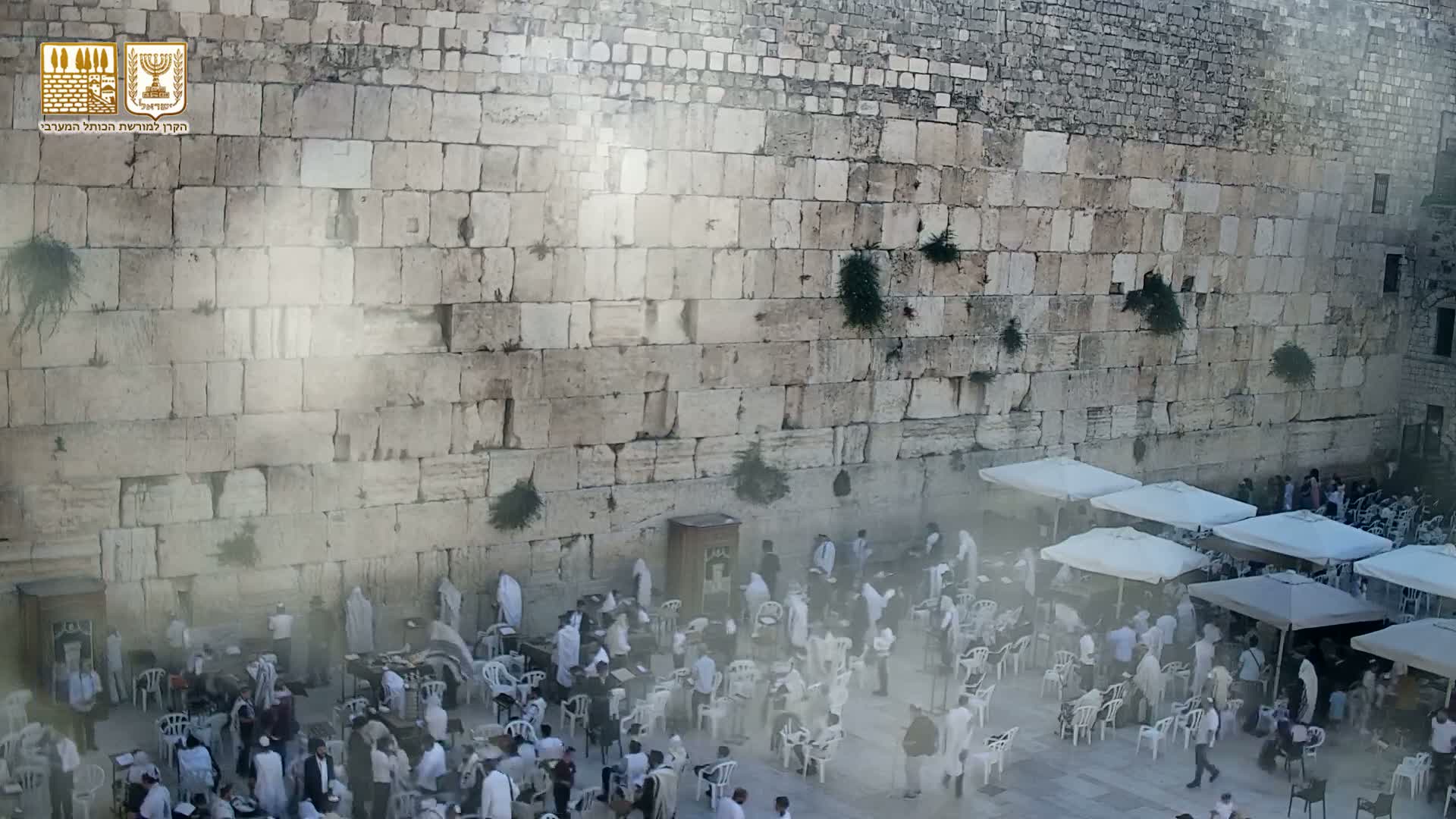 East Quds (East Jerusalem)  Western Wall Prayer Square Southeast Towards View  Live Cam - Old City, East Quds (East Jerusalem) , Palestine
