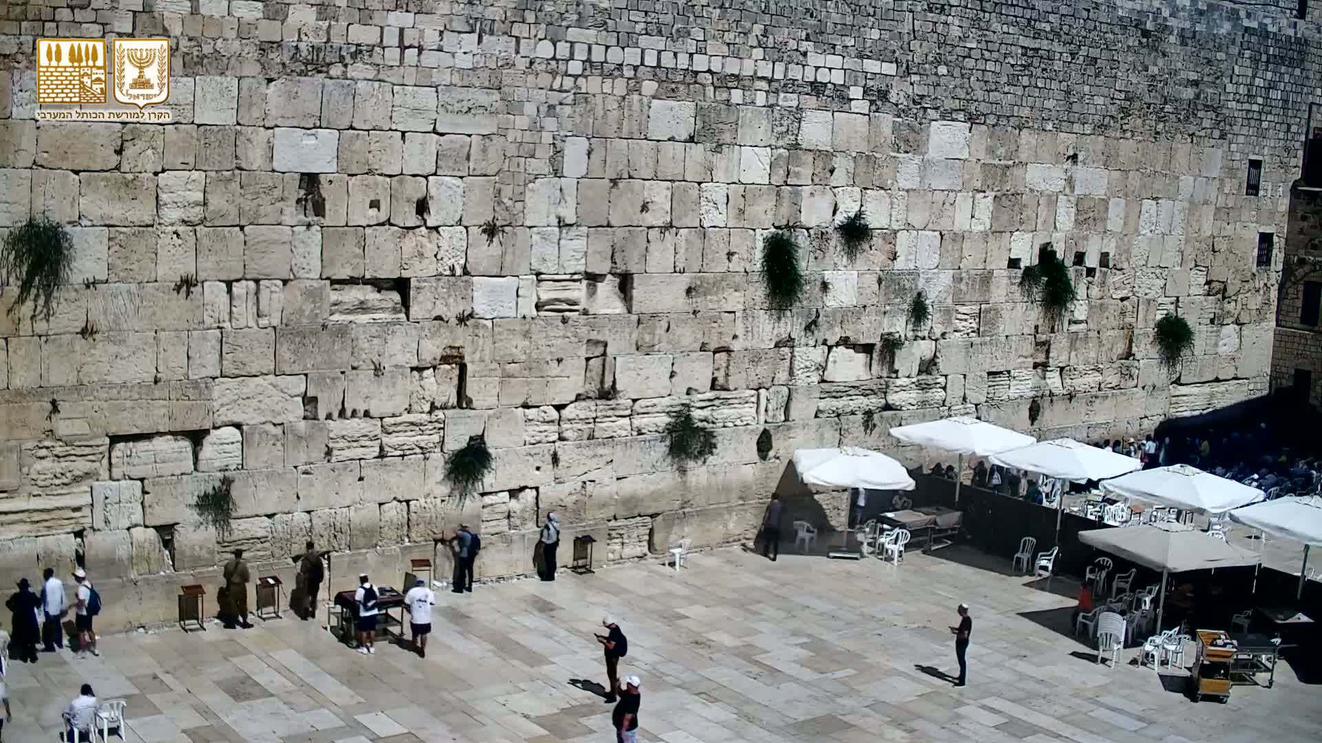 East Quds (East Jerusalem)  Western Wall Prayer Square Southeast Towards View  Live Cam - Old City, East Quds (East Jerusalem) , Palestine
