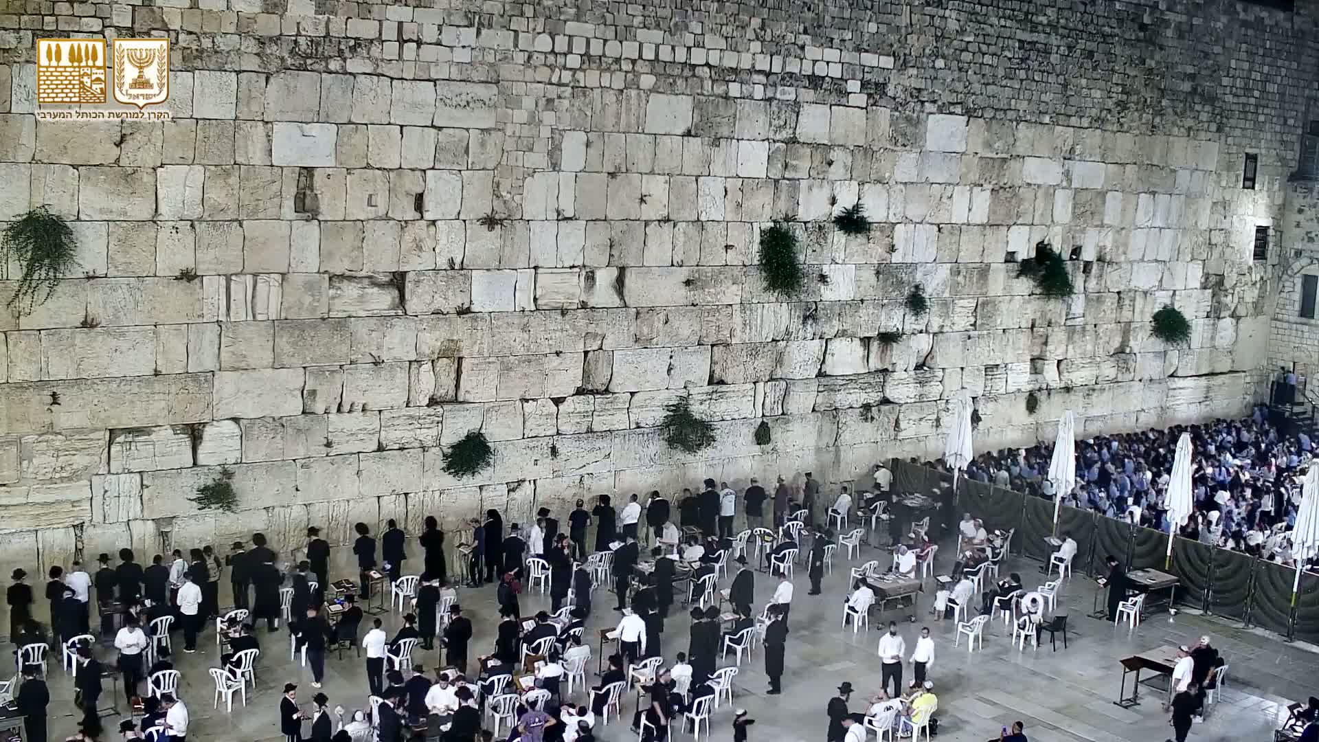 East Quds (East Jerusalem)  Western Wall Prayer Square Southeast Towards View  Live Cam - Old City, East Quds (East Jerusalem) , Palestine