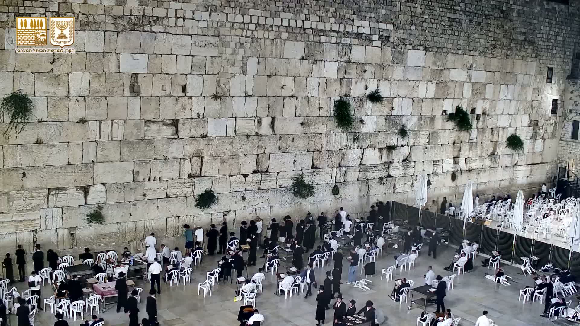 East Quds (East Jerusalem)  Western Wall Prayer Square Southeast Towards View  Live Cam - Old City, East Quds (East Jerusalem) , Palestine
