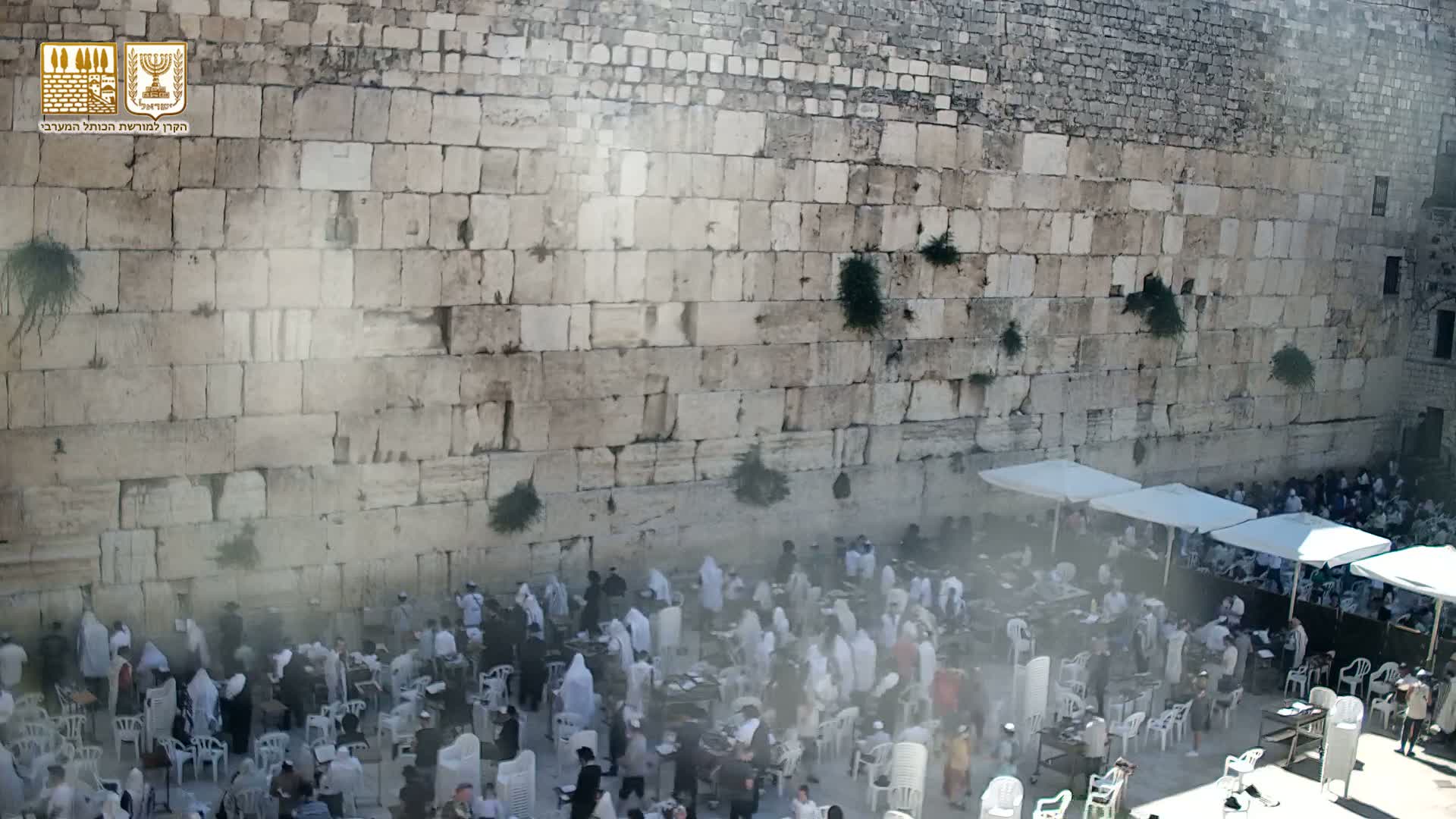 East Quds (East Jerusalem)  Western Wall Prayer Square Southeast Towards View  Live Cam - Old City, East Quds (East Jerusalem) , Palestine