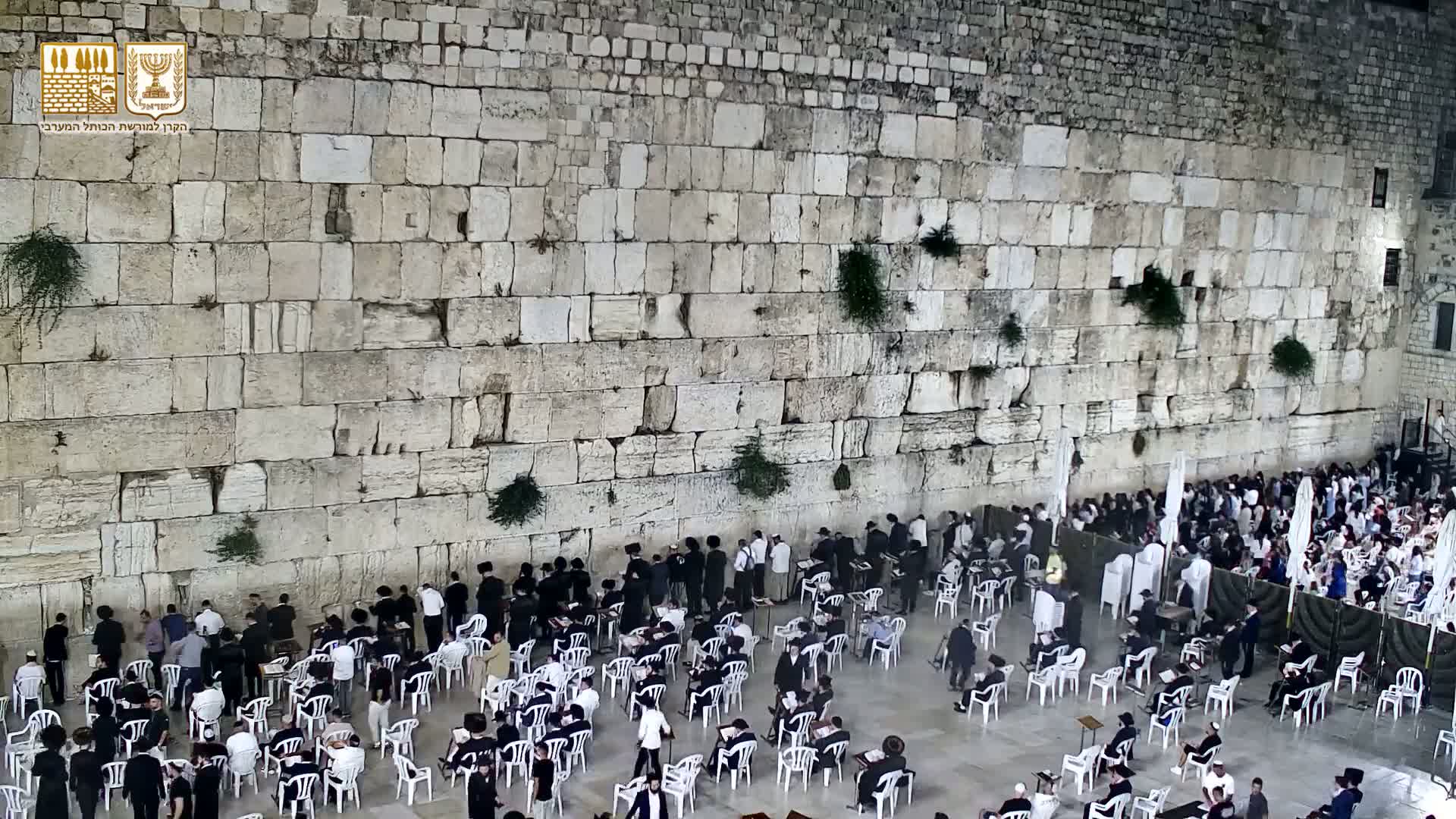 East Quds (East Jerusalem)  Western Wall Prayer Square Southeast Towards View  Live Cam - Old City, East Quds (East Jerusalem) , Palestine