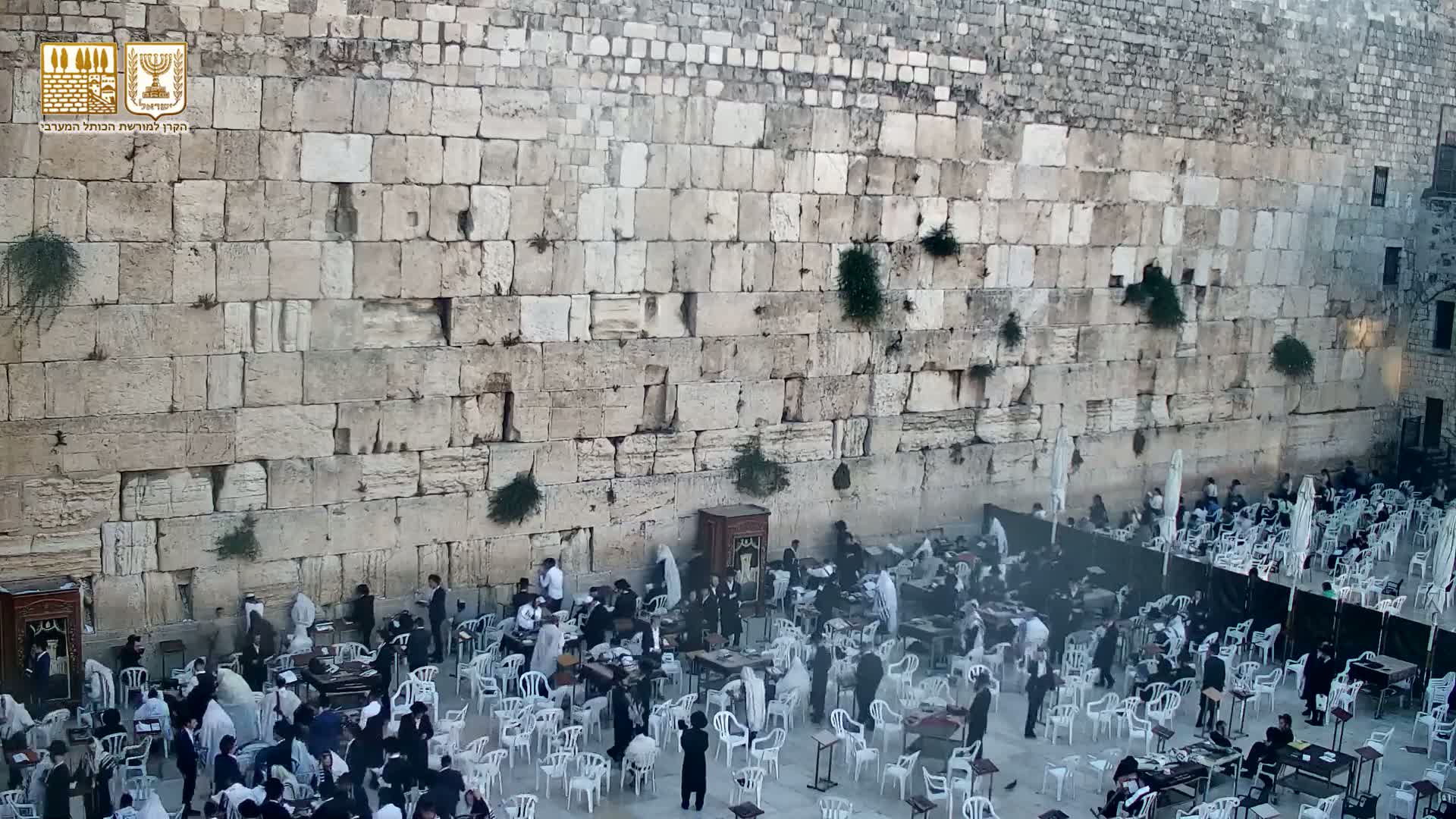 East Quds (East Jerusalem)  Western Wall Prayer Square Southeast Towards View  Live Cam - Old City, East Quds (East Jerusalem) , Palestine