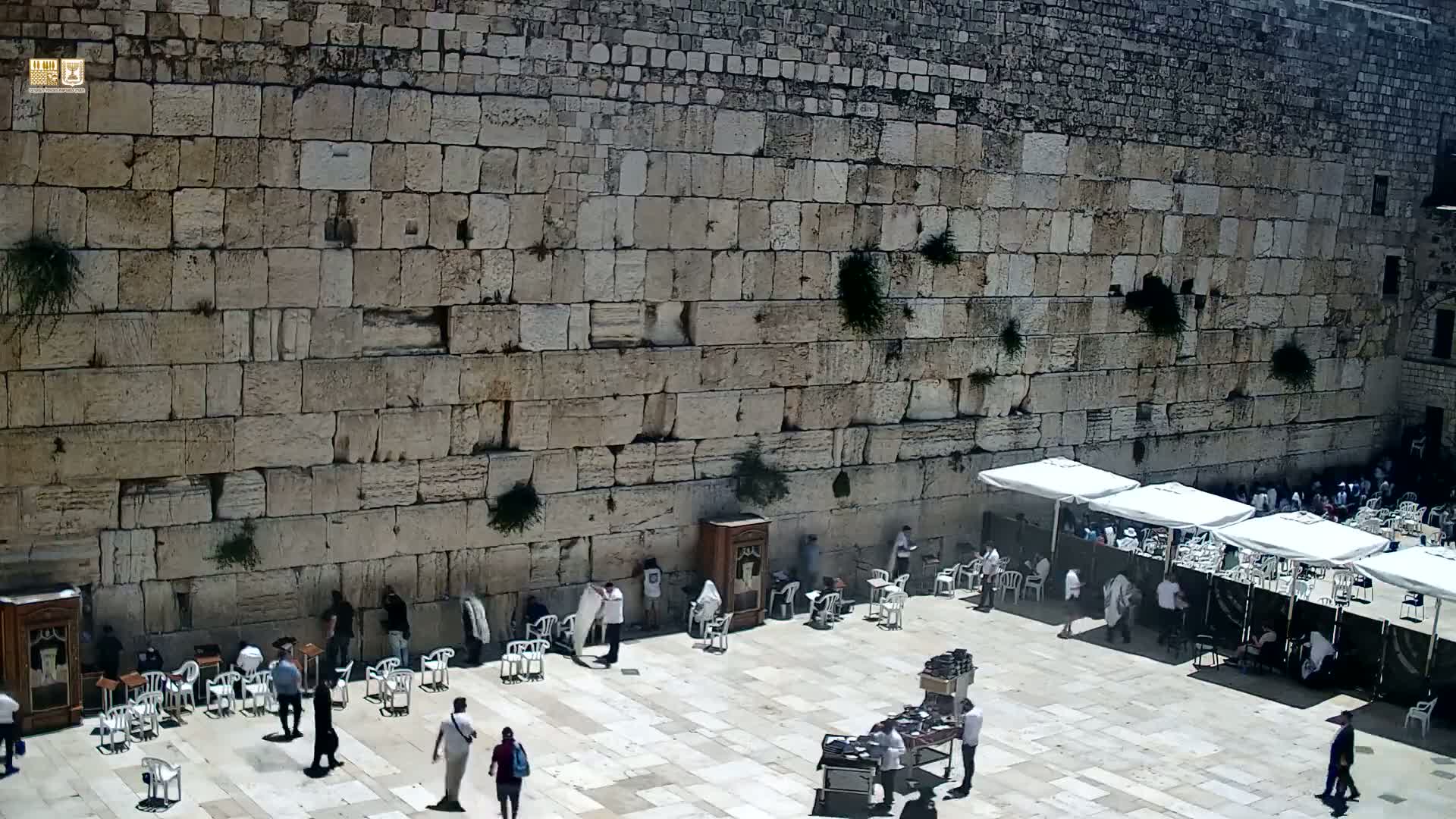 East Quds (East Jerusalem)  Western Wall Prayer Square Southeast Towards View  Live Cam - Old City, East Quds (East Jerusalem) , Palestine