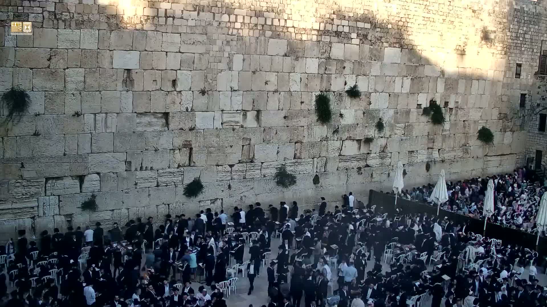 East Quds (East Jerusalem)  Western Wall Prayer Square Southeast Towards View  Live Cam - Old City, East Quds (East Jerusalem) , Palestine