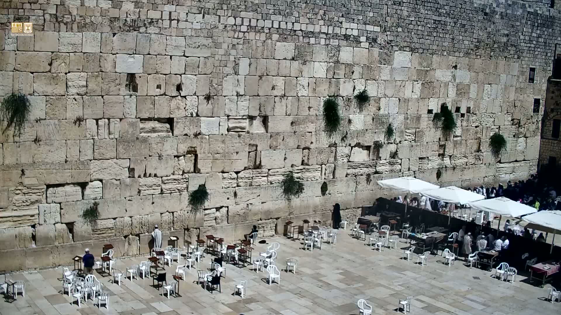 East Quds (East Jerusalem)  Western Wall Prayer Square Southeast Towards View  Live Cam - Old City, East Quds (East Jerusalem) , Palestine