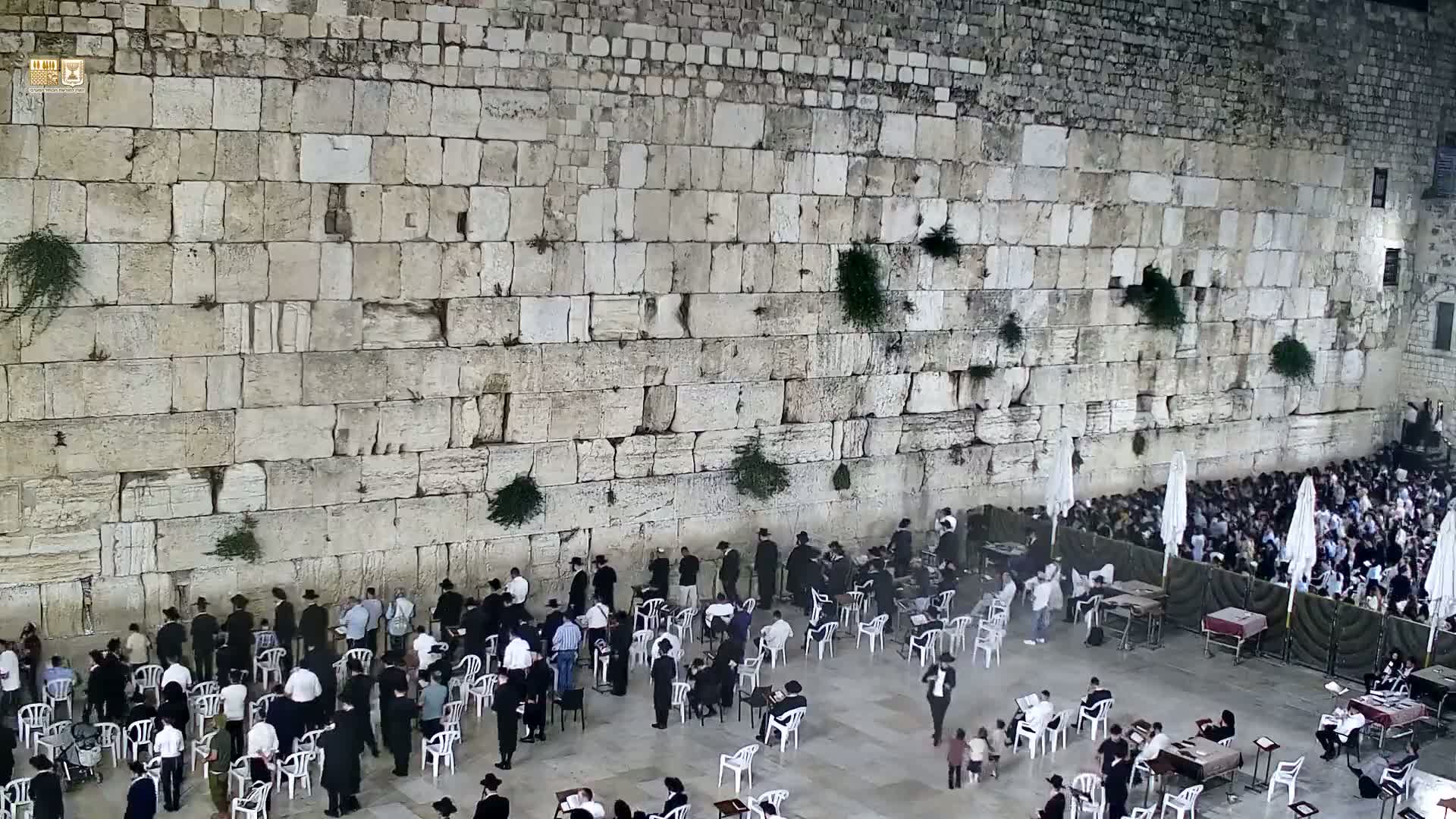 East Quds (East Jerusalem)  Western Wall Prayer Square Southeast Towards View  Live Cam - Old City, East Quds (East Jerusalem) , Palestine