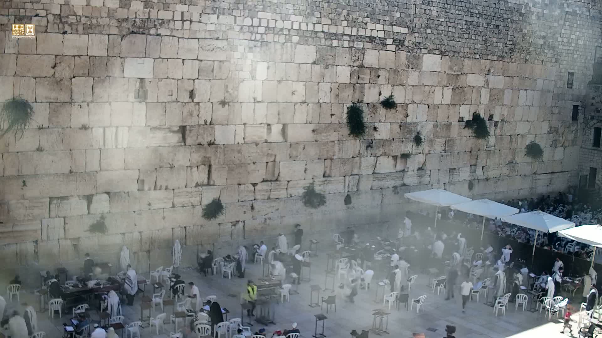 East Quds (East Jerusalem)  Western Wall Prayer Square Southeast Towards View  Live Cam - Old City, East Quds (East Jerusalem) , Palestine