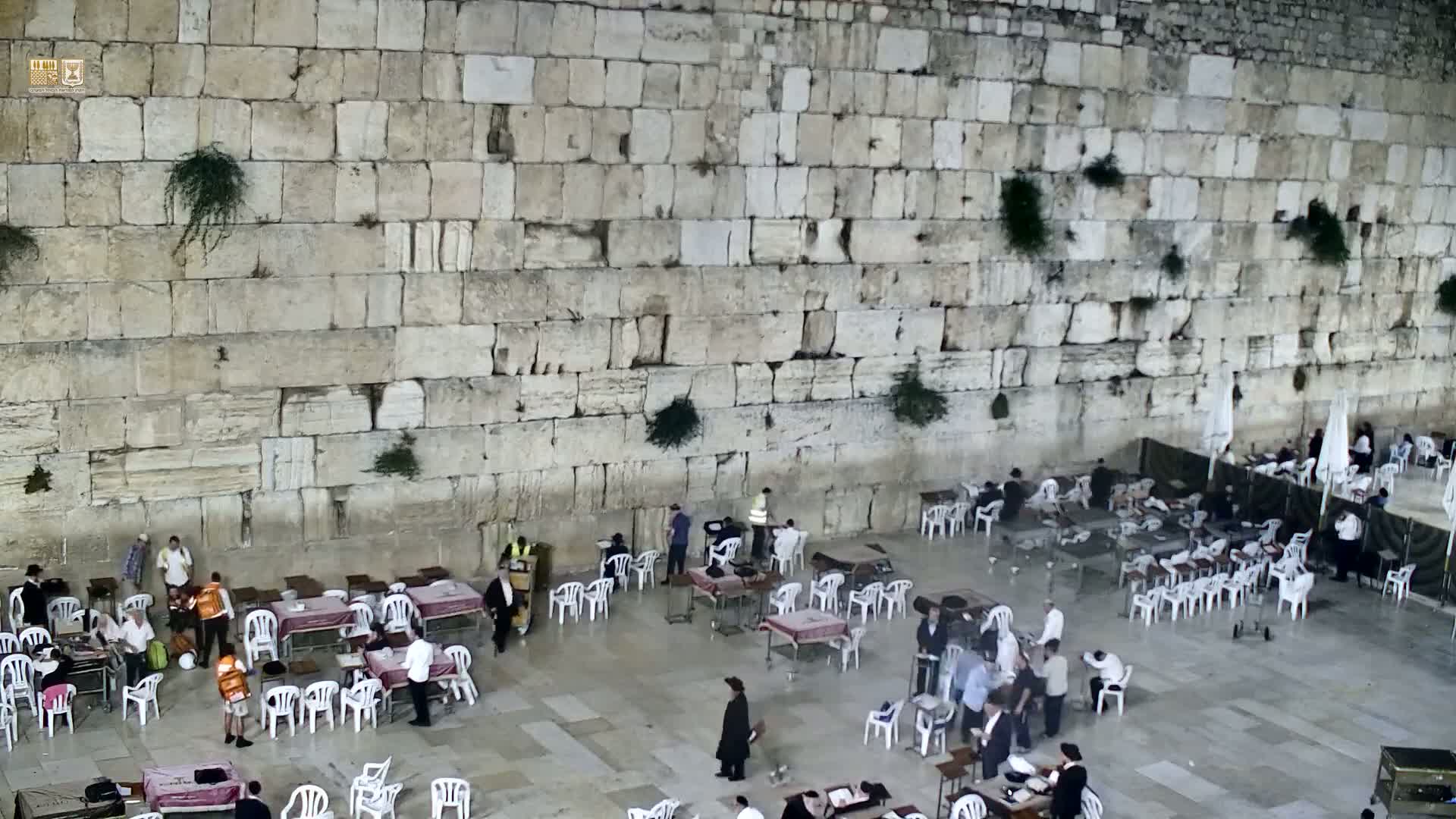 East Quds (East Jerusalem)  Western Wall Prayer Square Southeast Towards View  Live Cam - Old City, East Quds (East Jerusalem) , Palestine