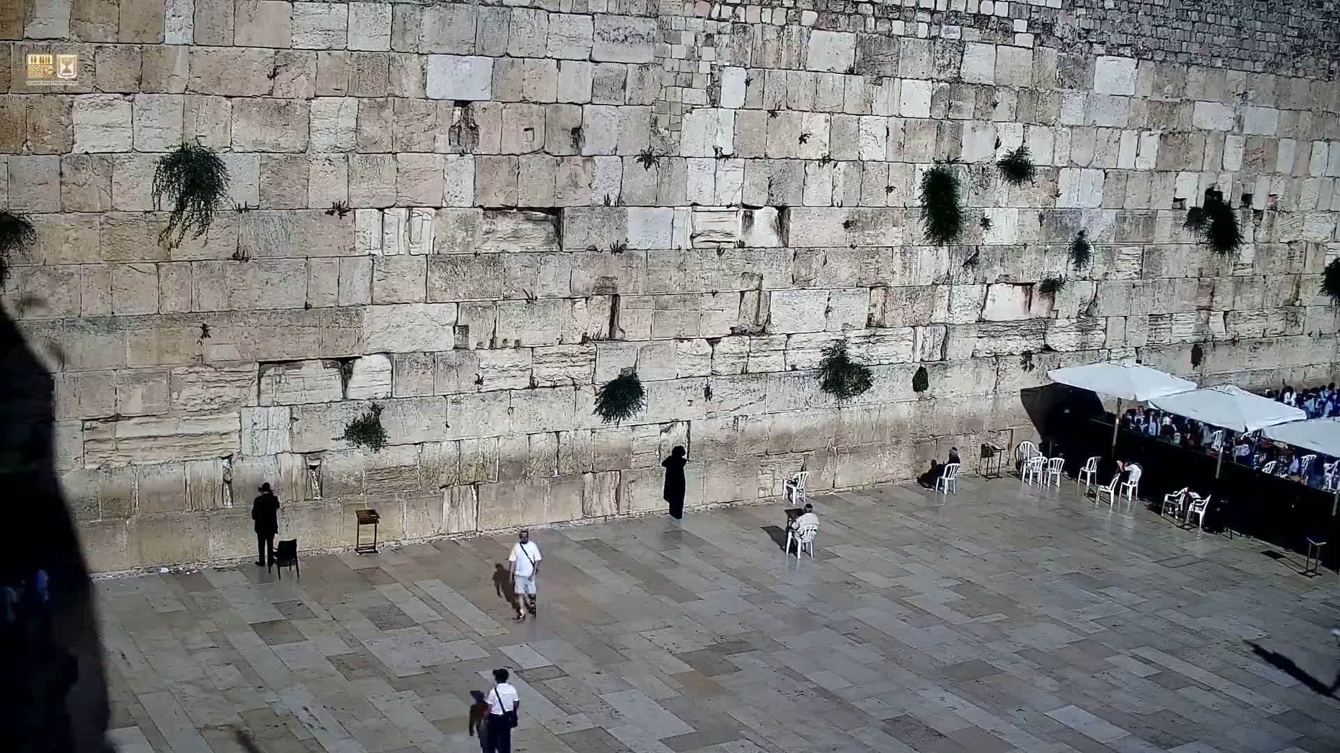 East Quds (East Jerusalem)  Western Wall Prayer Square Southeast Towards View  Live Cam - Old City, East Quds (East Jerusalem) , Palestine