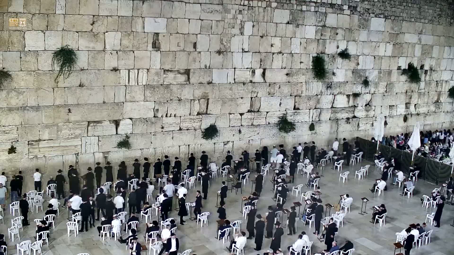 East Quds (East Jerusalem)  Western Wall Prayer Square Southeast Towards View  Live Cam - Old City, East Quds (East Jerusalem) , Palestine
