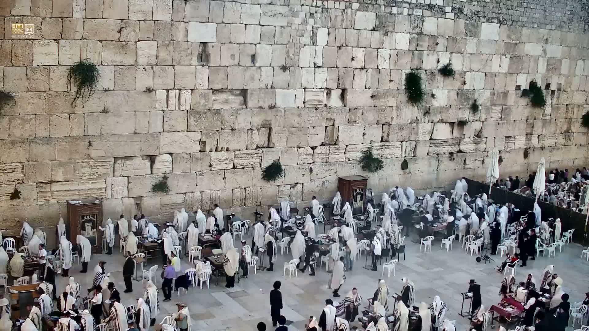 East Quds (East Jerusalem)  Western Wall Prayer Square Southeast Towards View  Live Cam - Old City, East Quds (East Jerusalem) , Palestine