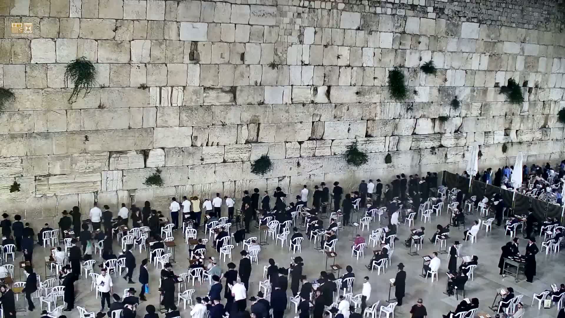 East Quds (East Jerusalem)  Western Wall Prayer Square Southeast Towards View  Live Cam - Old City, East Quds (East Jerusalem) , Palestine