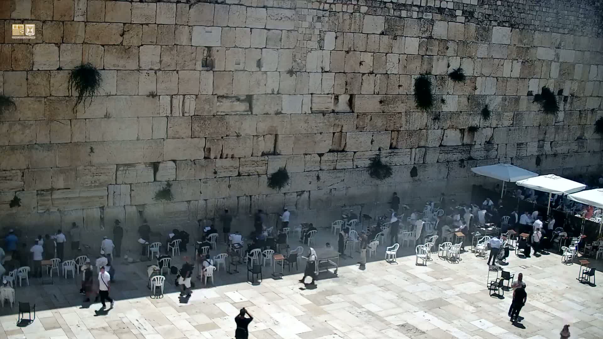 East Quds (East Jerusalem)  Western Wall Prayer Square Southeast Towards View  Live Cam - Old City, East Quds (East Jerusalem) , Palestine