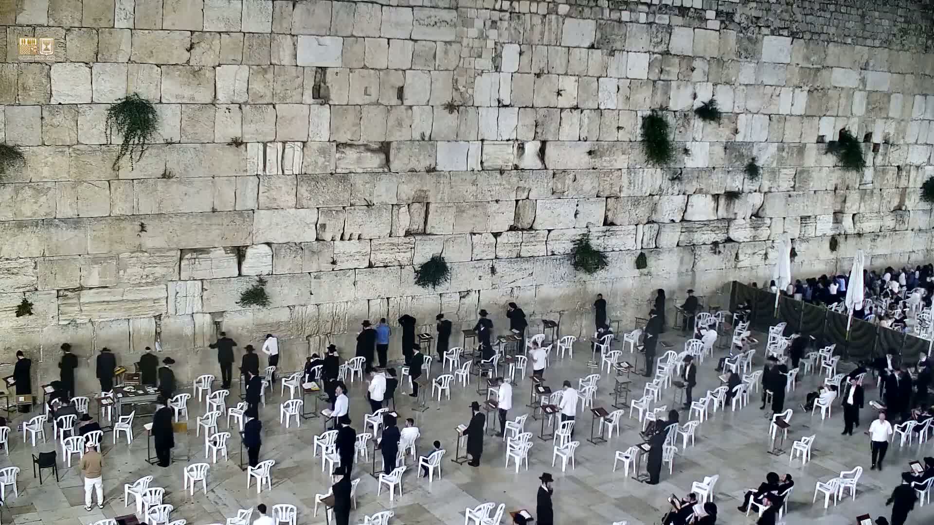 East Quds (East Jerusalem)  Western Wall Prayer Square Southeast Towards View  Live Cam - Old City, East Quds (East Jerusalem) , Palestine