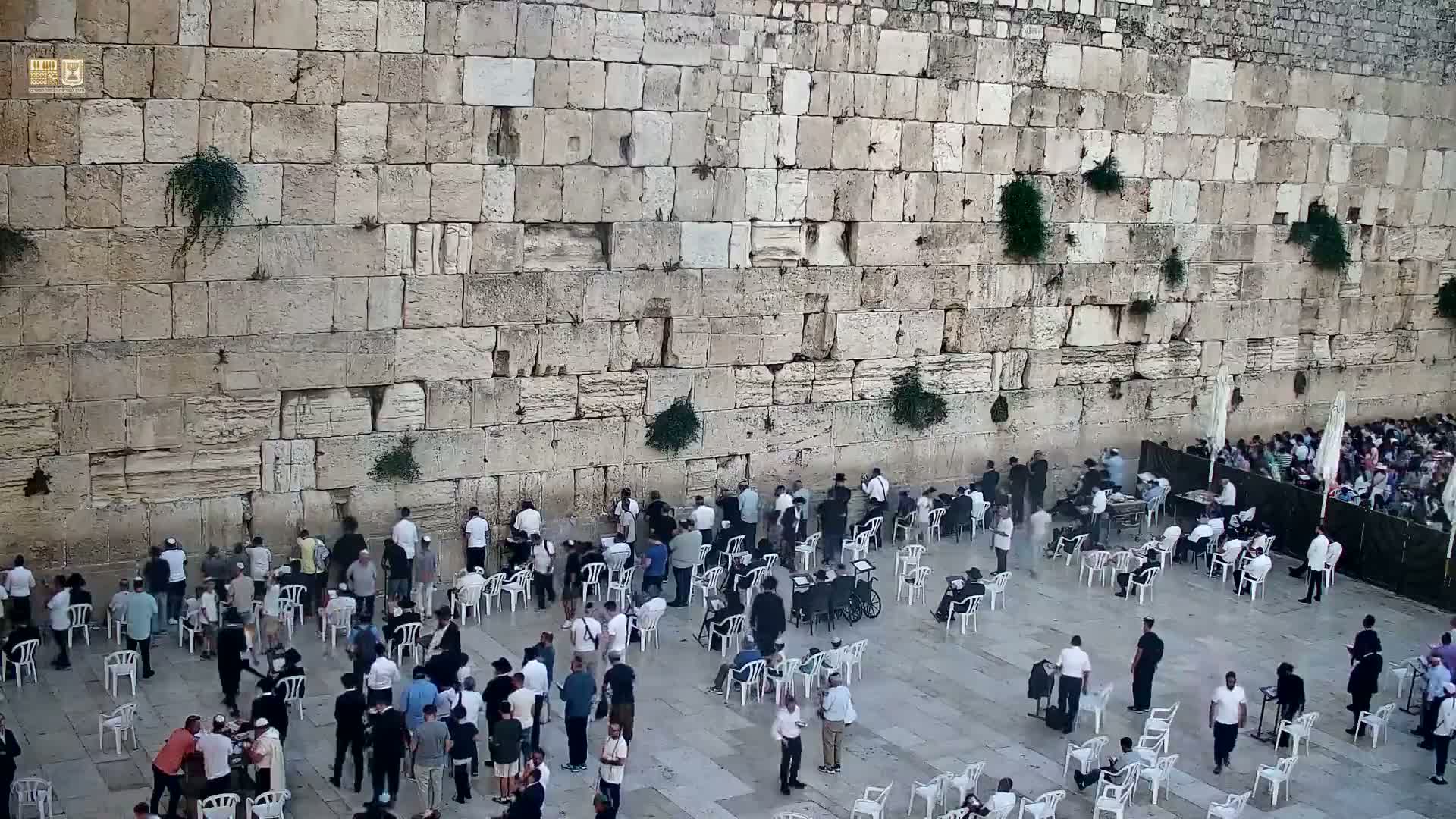 East Quds (East Jerusalem)  Western Wall Prayer Square Southeast Towards View  Live Cam - Old City, East Quds (East Jerusalem) , Palestine