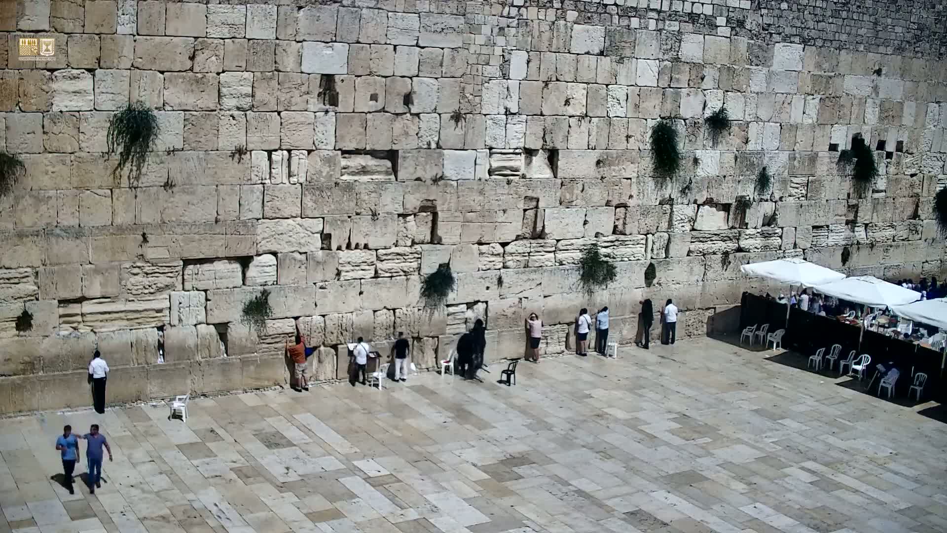 East Quds (East Jerusalem)  Western Wall Prayer Square Southeast Towards View  Live Cam - Old City, East Quds (East Jerusalem) , Palestine