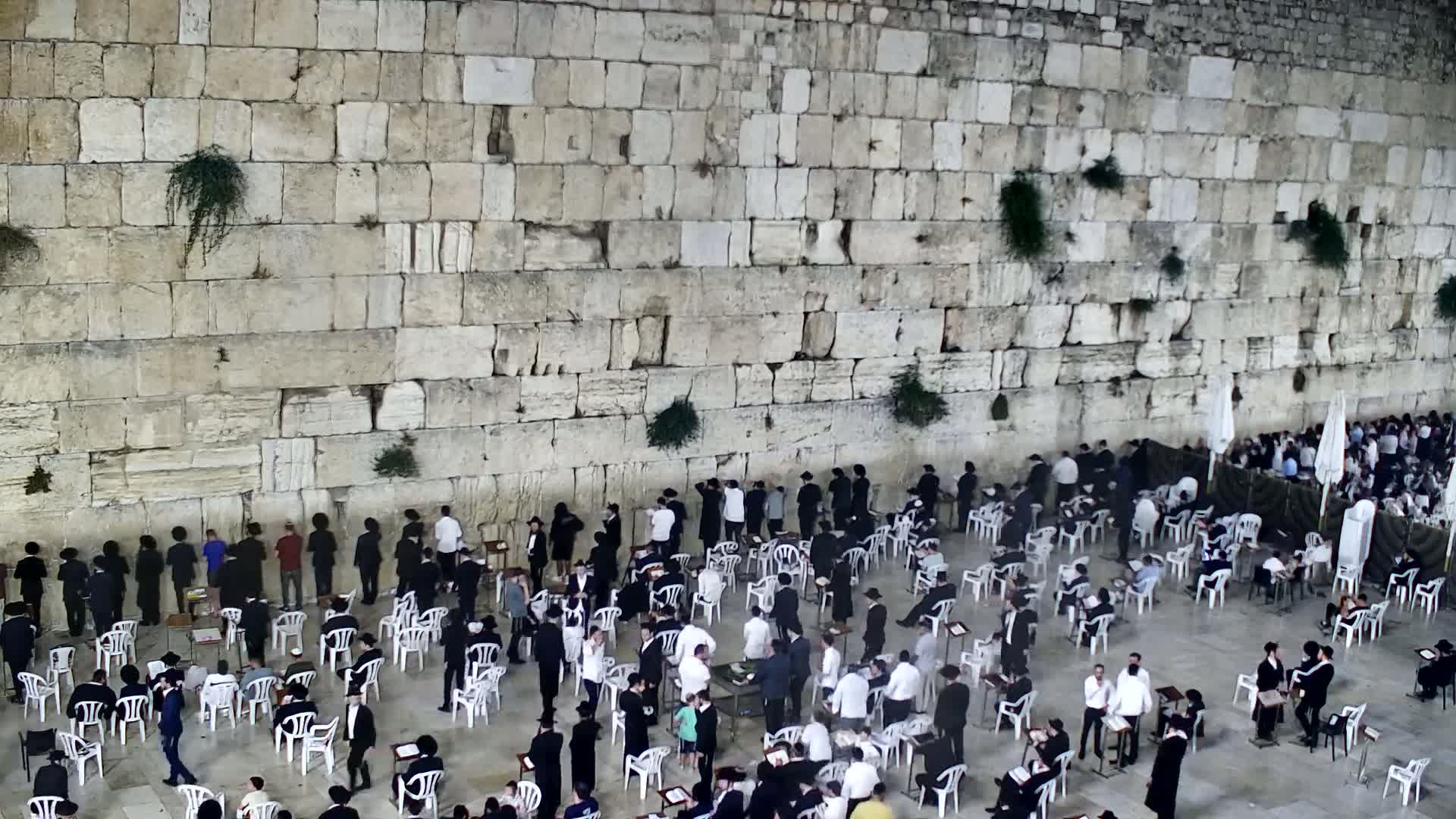 East Quds (East Jerusalem)  Western Wall Prayer Square Southeast Towards View  Live Cam - Old City, East Quds (East Jerusalem) , Palestine