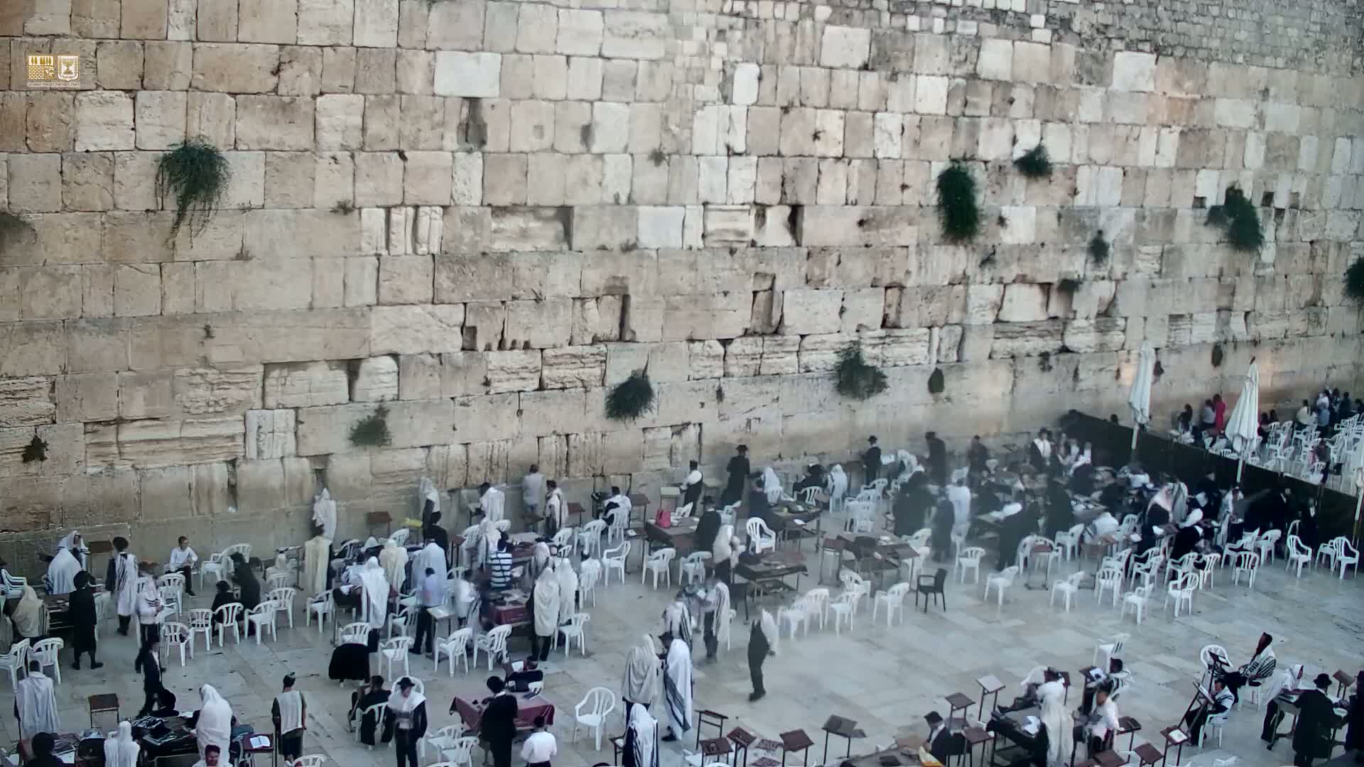 East Quds (East Jerusalem)  Western Wall Prayer Square Southeast Towards View  Live Cam - Old City, East Quds (East Jerusalem) , Palestine