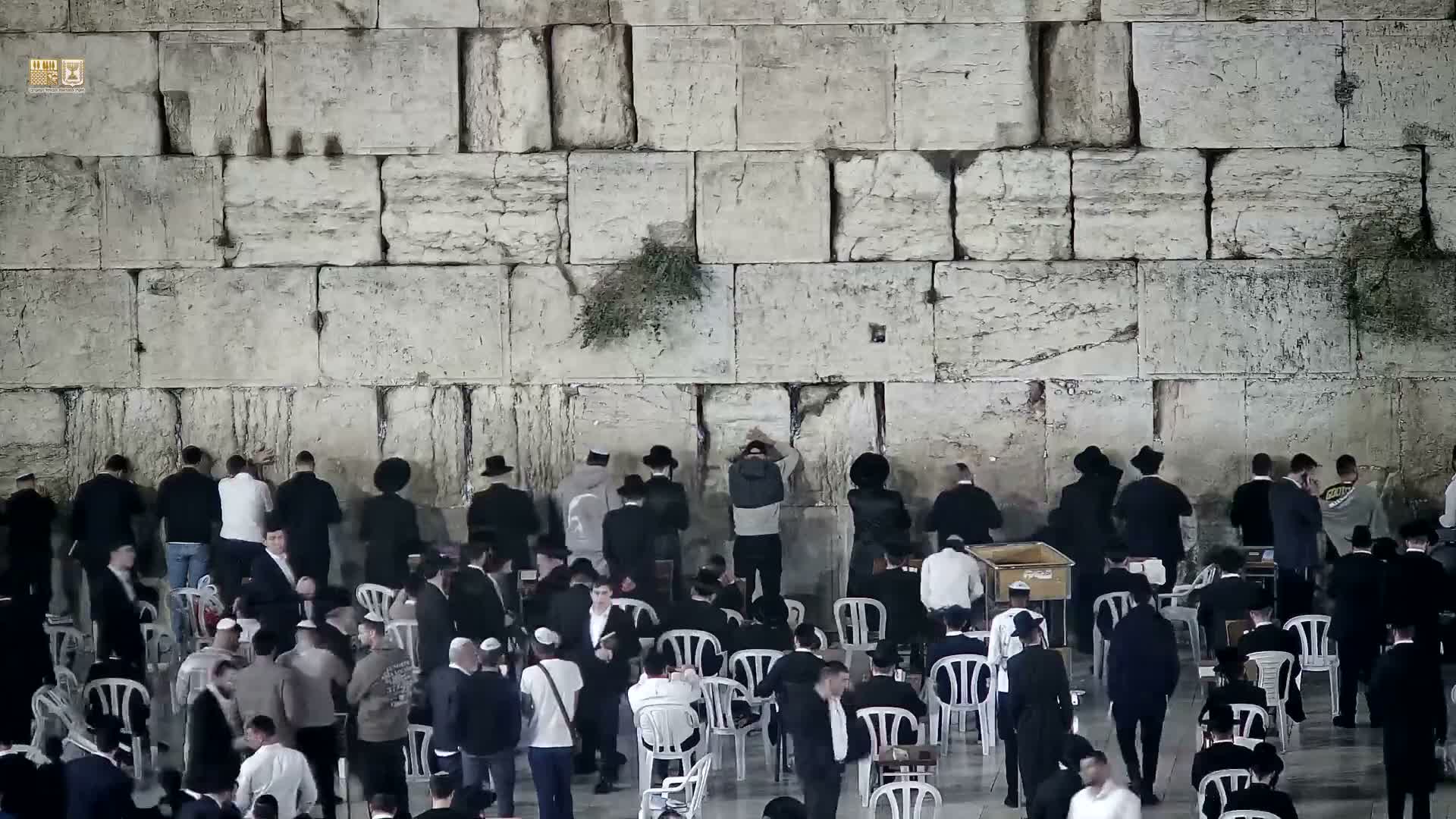 East Quds (East Jerusalem)  Western Wall Prayer Square Southeast Towards View  Live Cam - Old City, East Quds (East Jerusalem) , Palestine