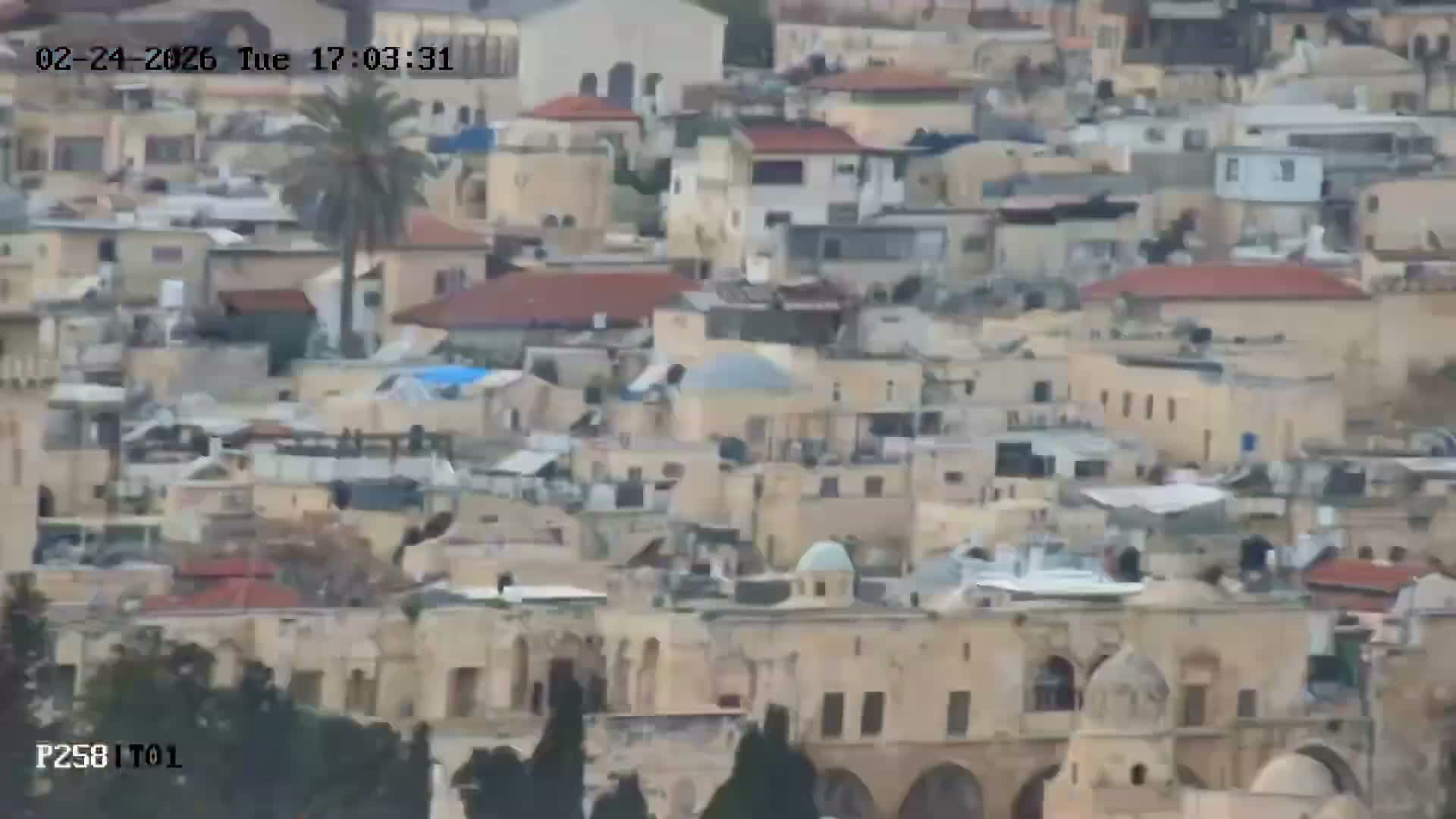East Quds (East  Jerusalem) ElAqsa Mosque/Gethsemane/Golden Gate/Dome of Rock/Temple Mount/Pater Noster Church & Quds 360 Panaroma Skyline View  Live Cam - At-Tur, East Quds (East Jerusalem), Palestine