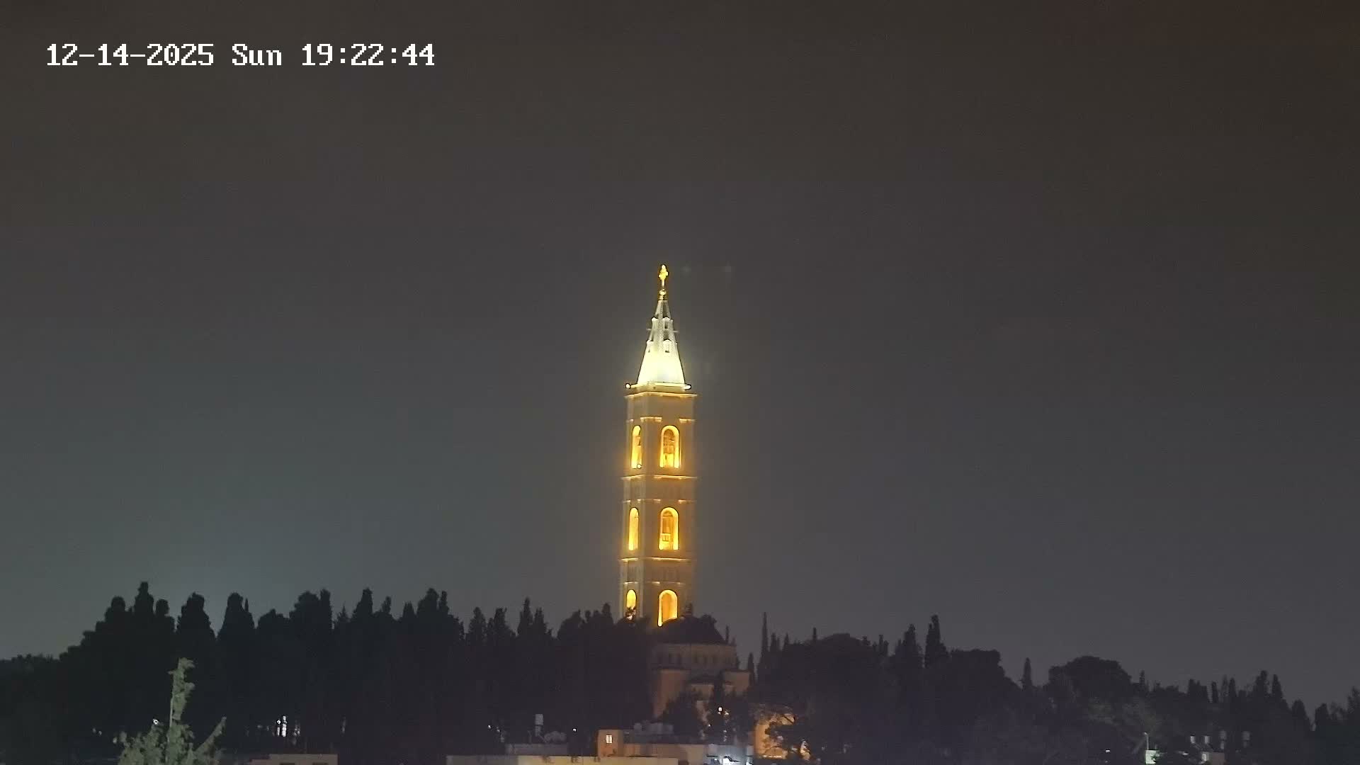 A tall, slender bell tower and a domed building are surrounded by numerous evergreen trees under a grey, overcast sky.