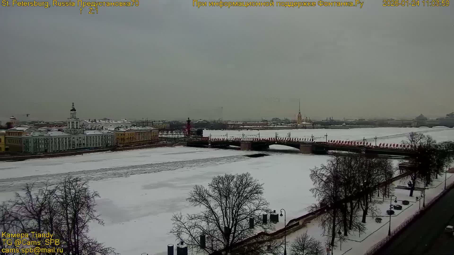 Bronze Horseman (Mednyy Vsadnik) & Saint Isaac Cathedral (Isaakiyevskiy Sobor) from Senate Square  Live Cam - Admiralteysky Okrug, Admiralteysky, Saint Petersburg, Northwestern (Severo-Zapadnyy), Russia 