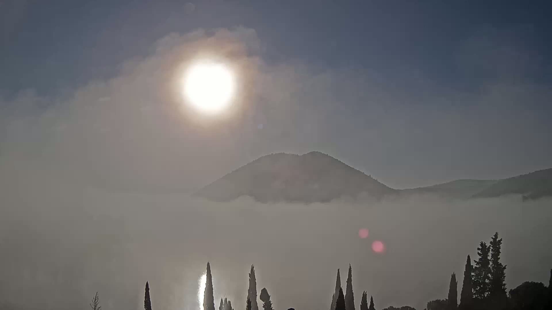 A hazy sun shines over a low-lying fog that obscures a mountain and several evergreen trees in the foreground.