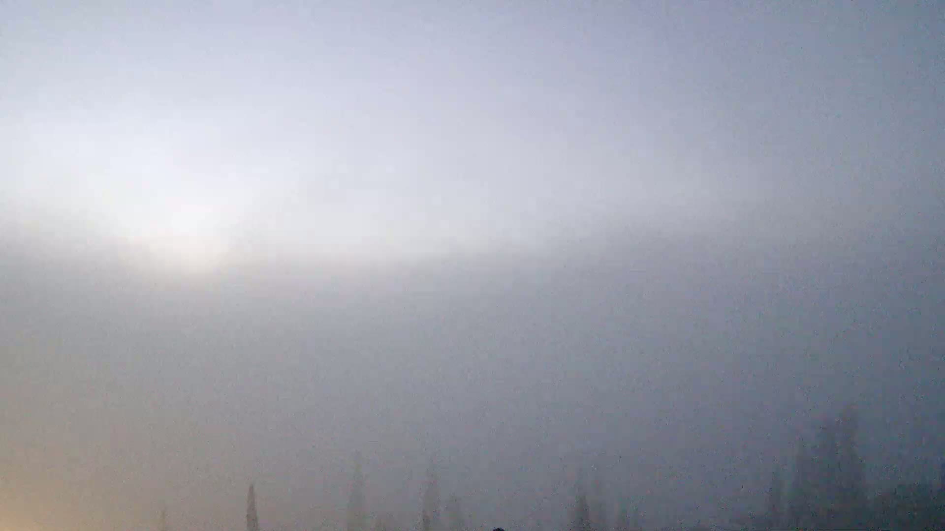 A thick fog obscures a line of dark trees in the distance.