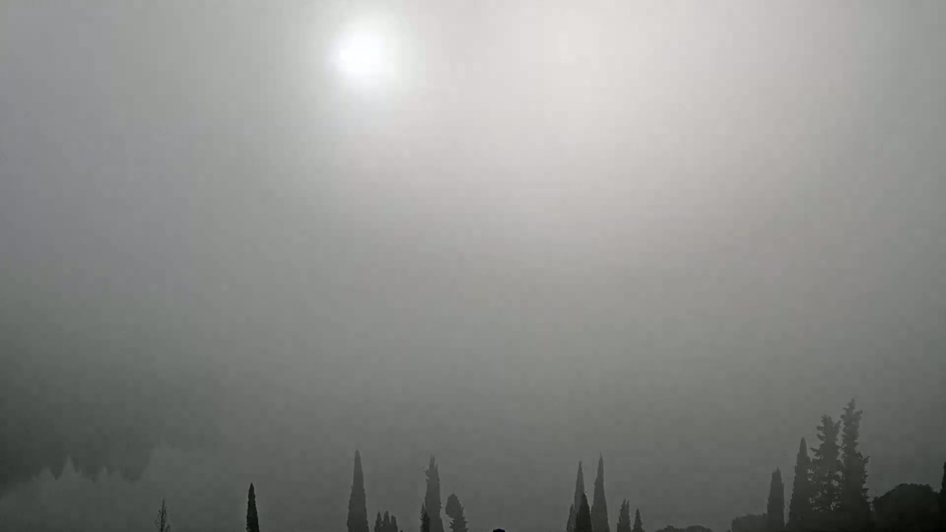 A hazy sun shines faintly through a dense fog obscuring a line of dark evergreens.