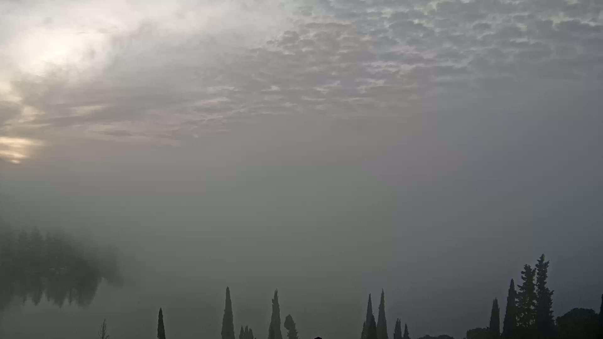 A foggy sunrise over a body of water with a line of dark trees in the foreground.