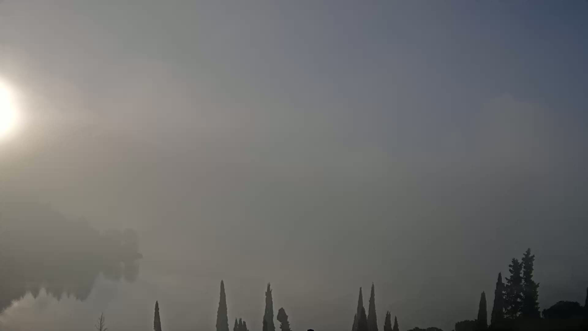 A hazy sun shines on a foggy landscape featuring a line of dark, slender trees in the foreground.